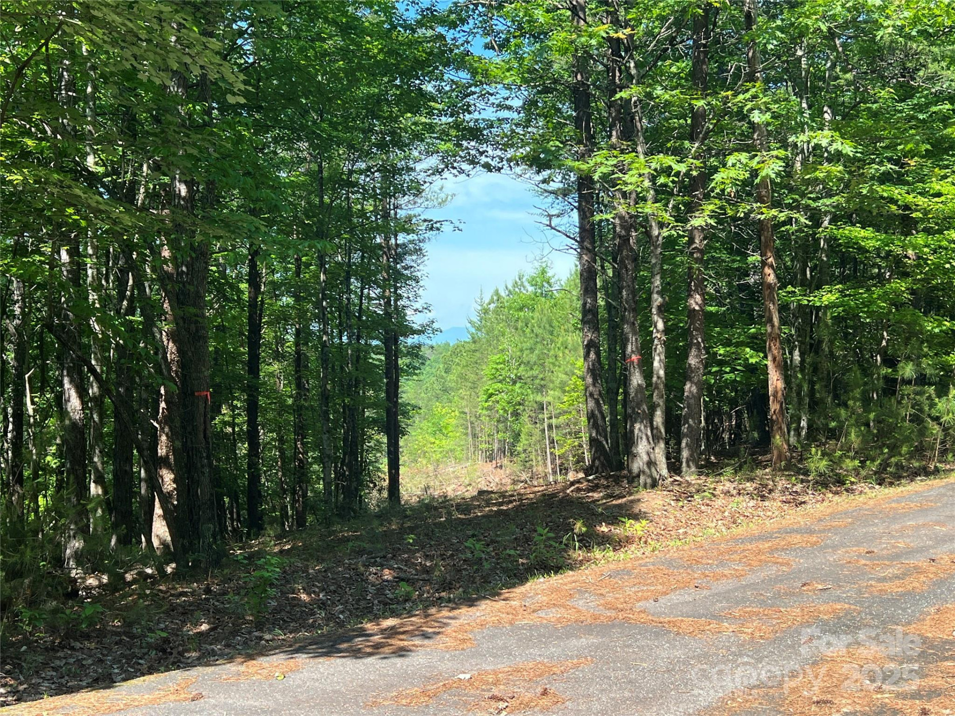 0 South Mountain Drive #16 - Photo 2