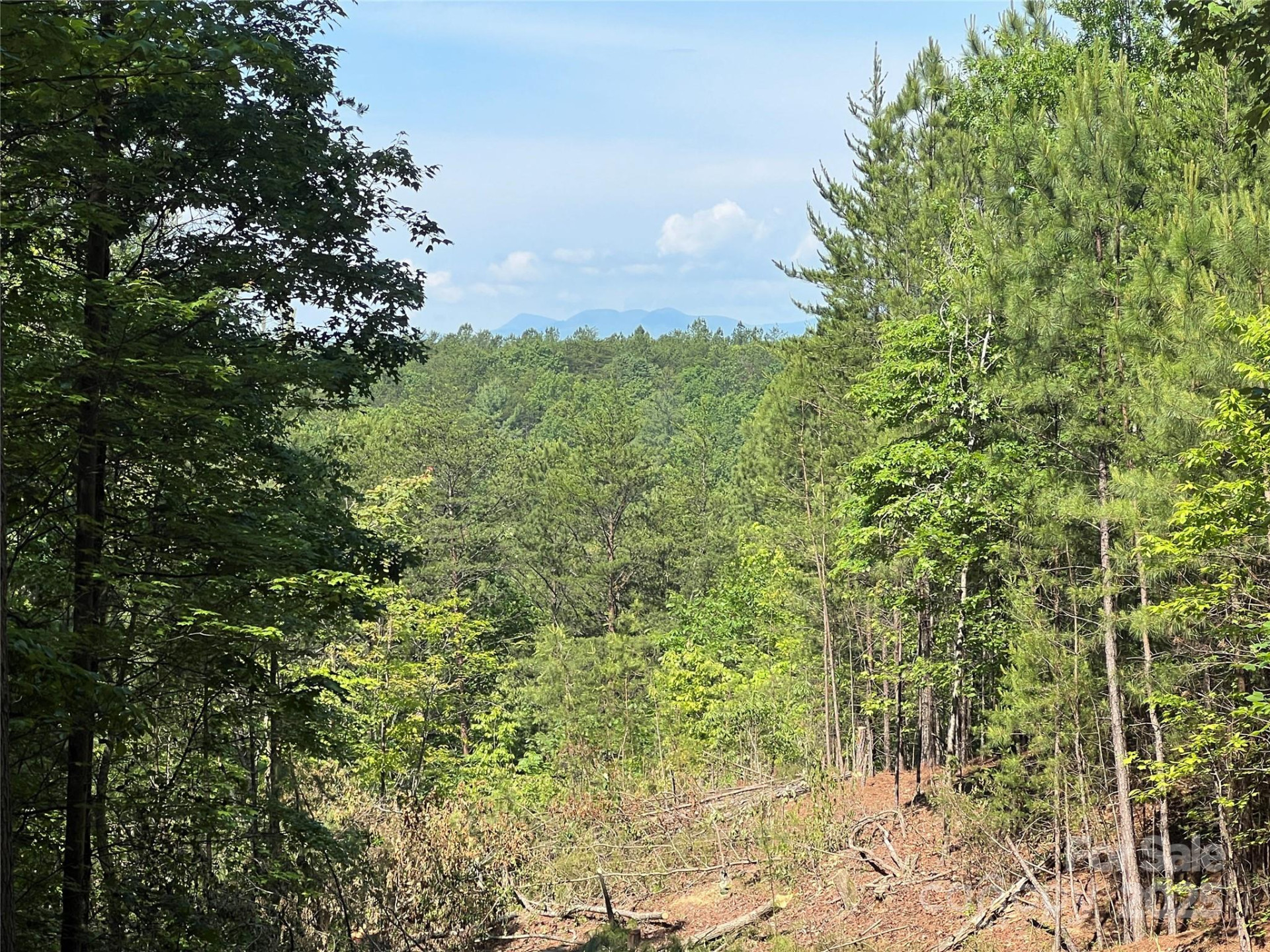 0 South Mountain Drive #16 - Photo 11