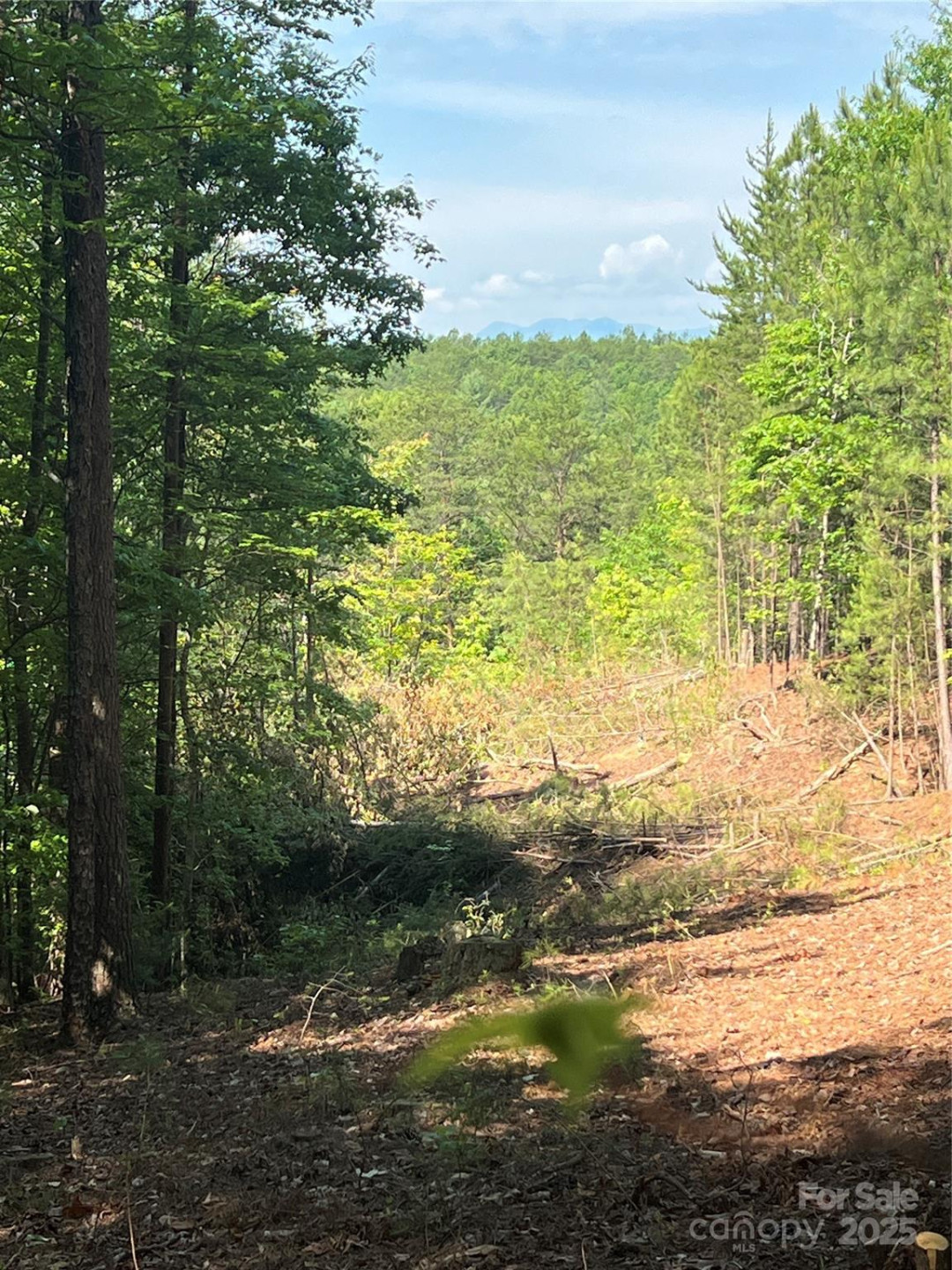 0 South Mountain Drive #16 - Photo 12