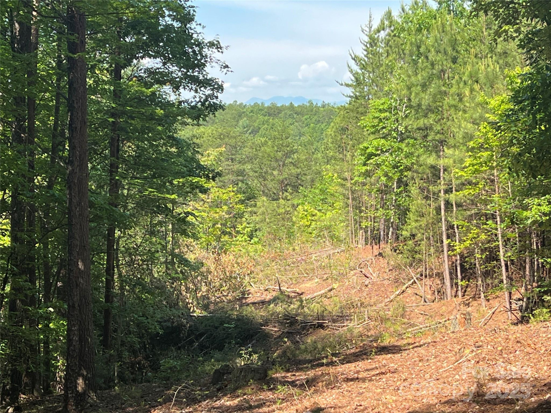 0 South Mountain Drive #16 - Photo 13