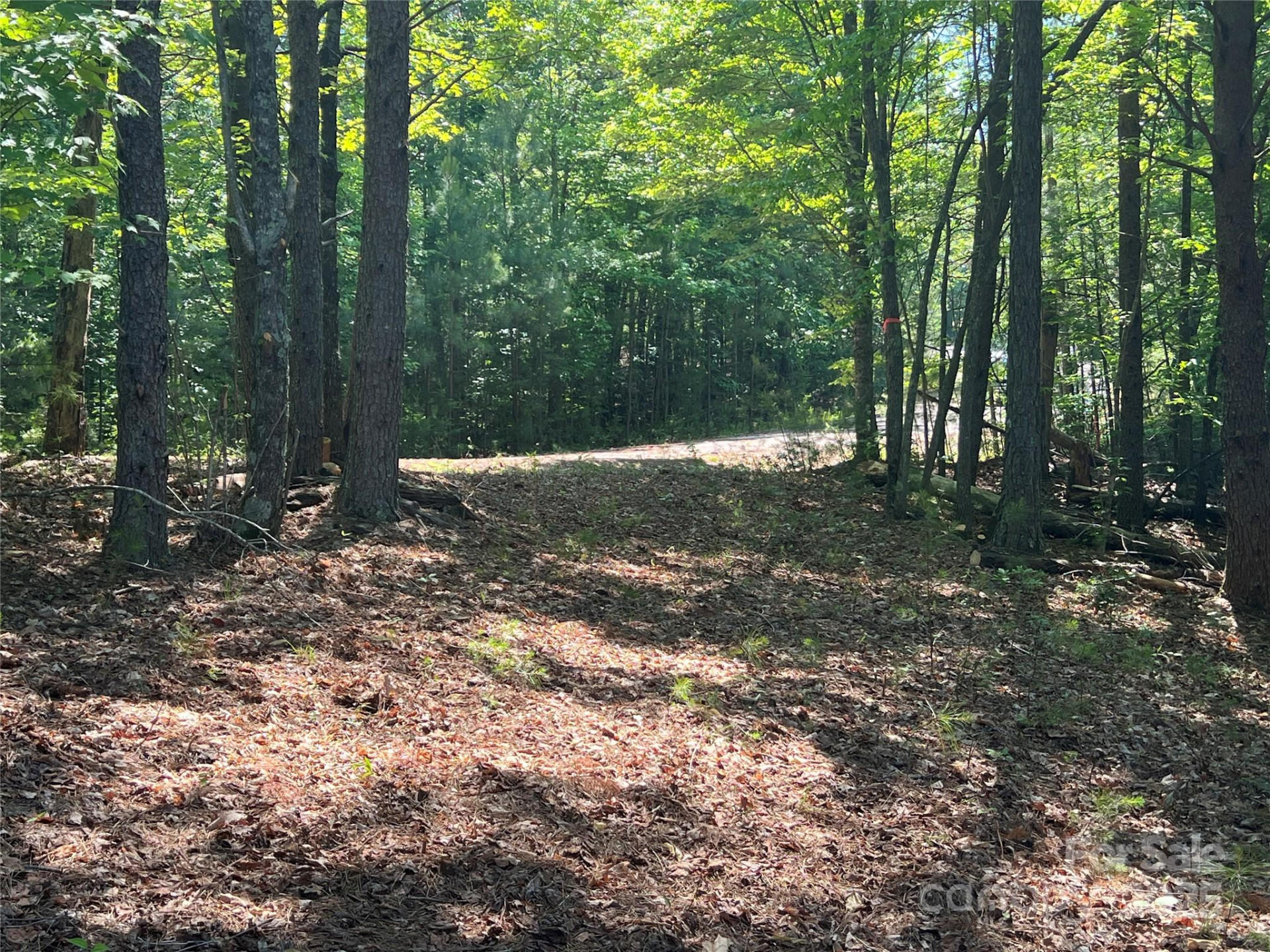 0 South Mountain Drive #16 - Photo 14