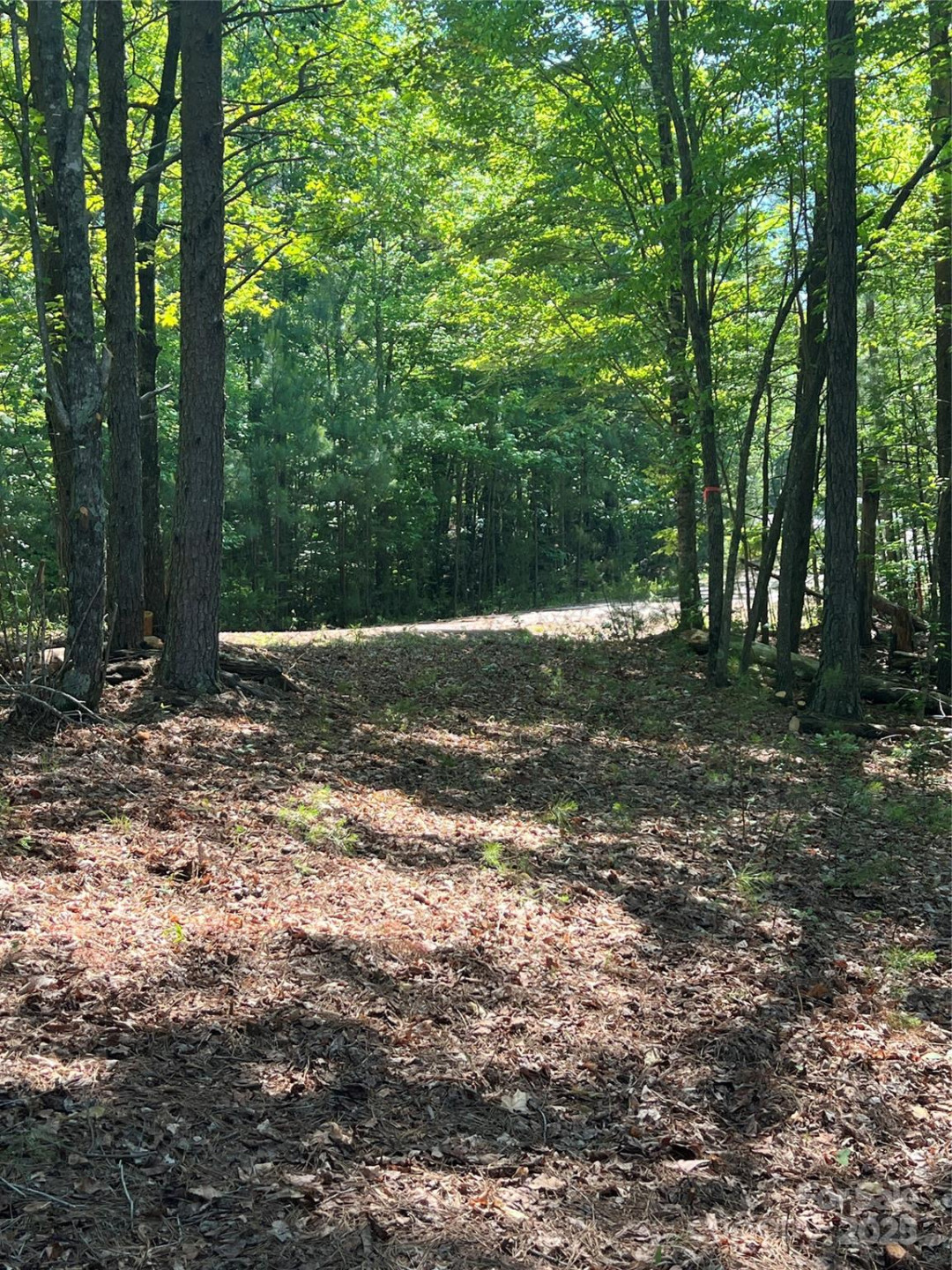 0 South Mountain Drive #16 - Photo 15