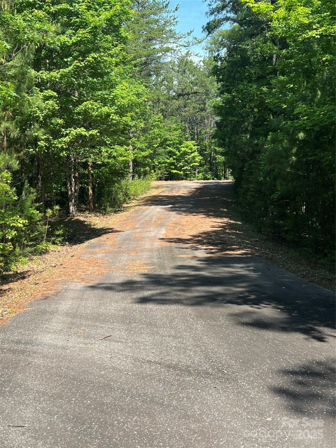 0 South Mountain Drive #16 - Photo 16