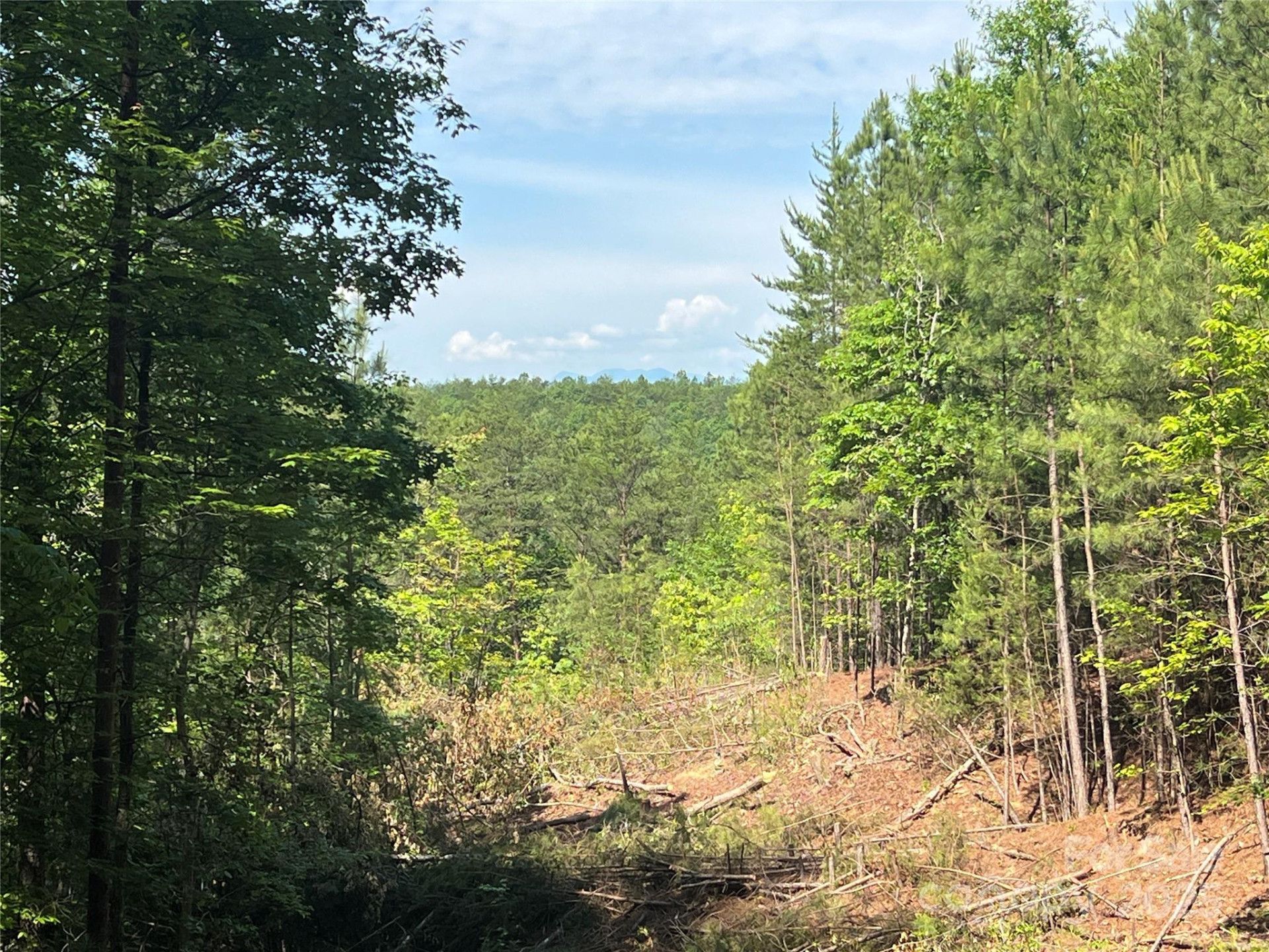 0 South Mountain Drive #16 - Photo 17