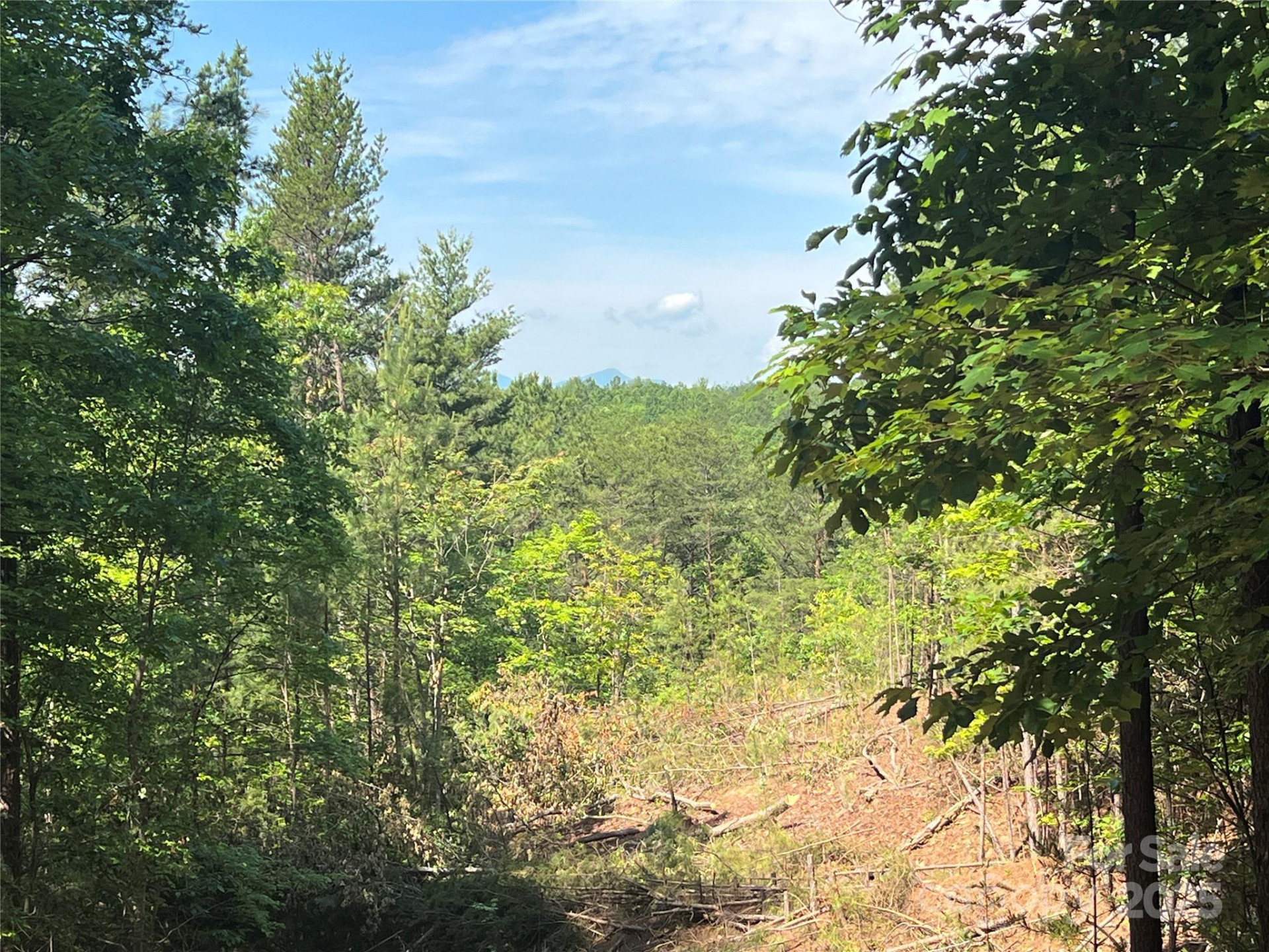 0 South Mountain Drive #16 - Photo 18