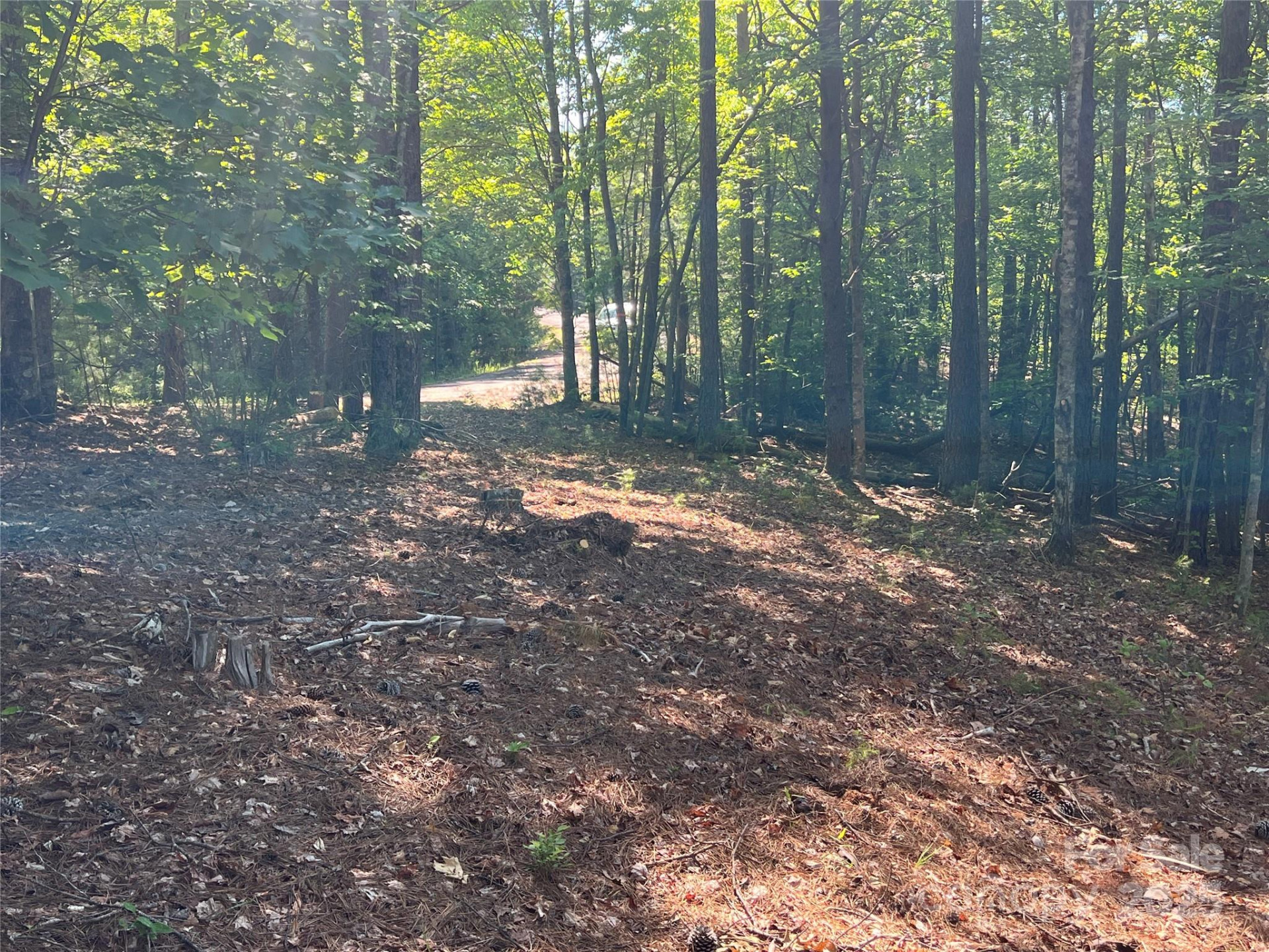 0 South Mountain Drive #16 - Photo 19