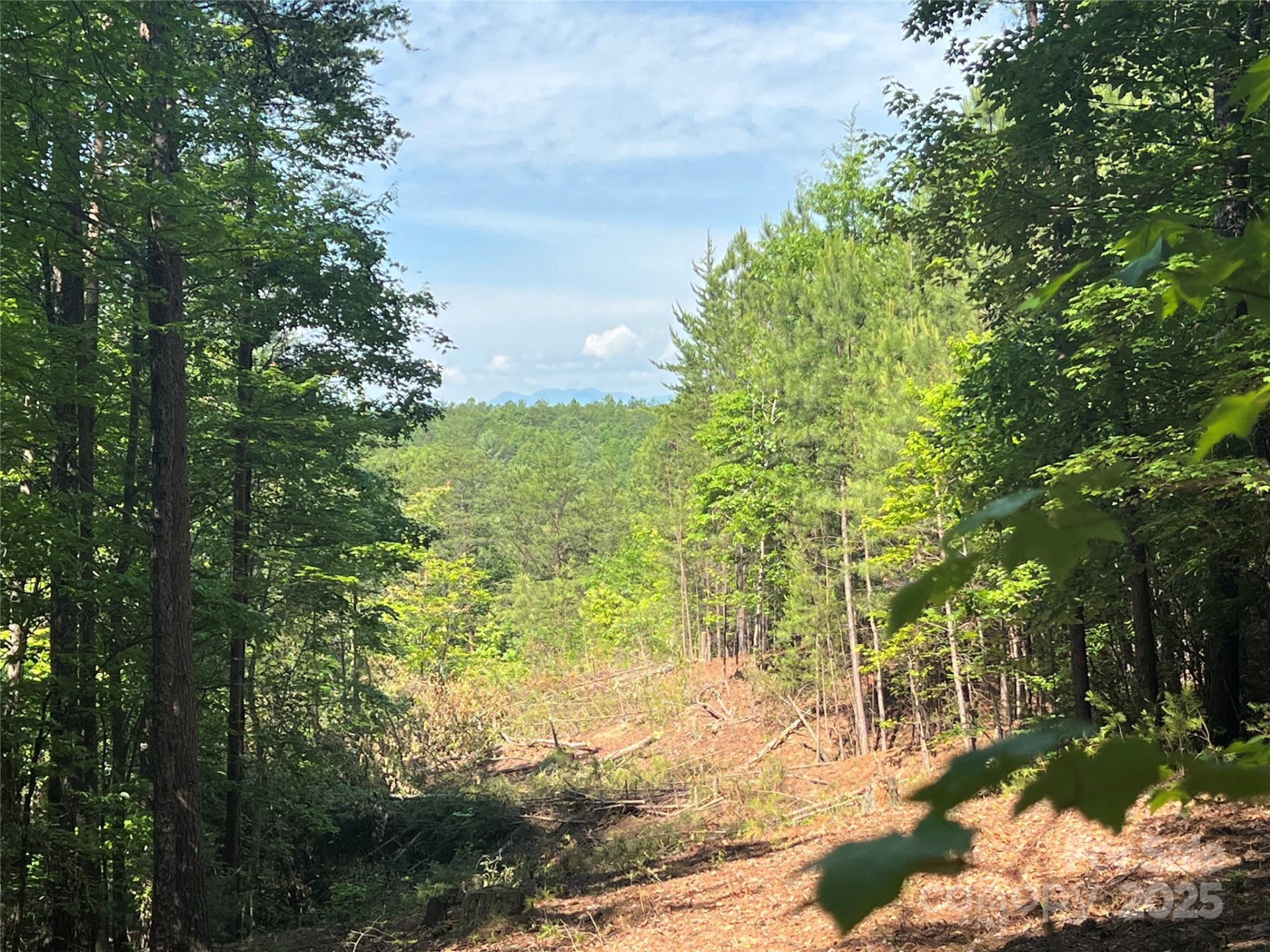 0 South Mountain Drive #16 - Photo 3