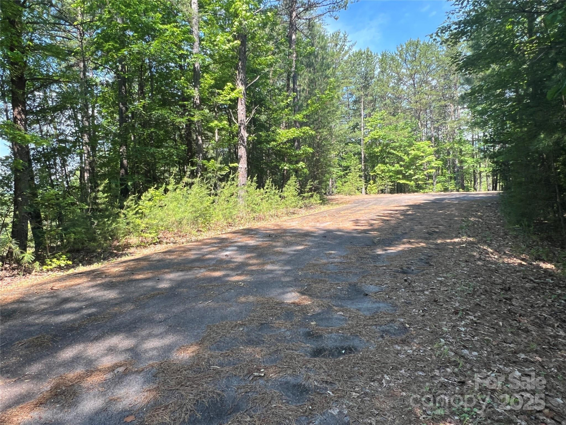 0 South Mountain Drive #16 - Photo 21