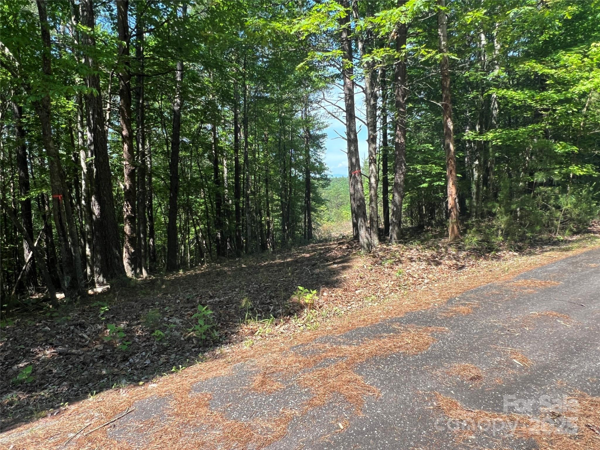 0 South Mountain Drive #16 - Photo 22