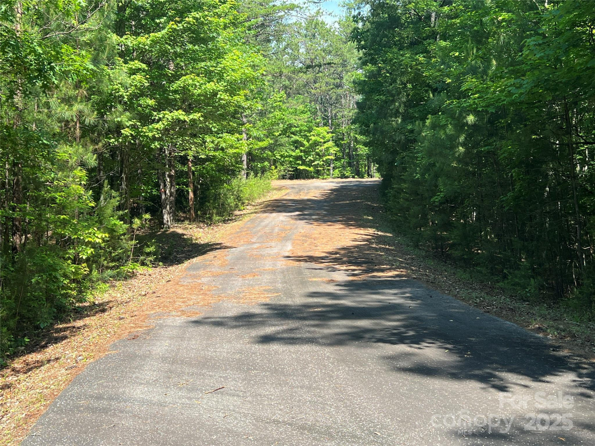 0 South Mountain Drive #16 - Photo 6