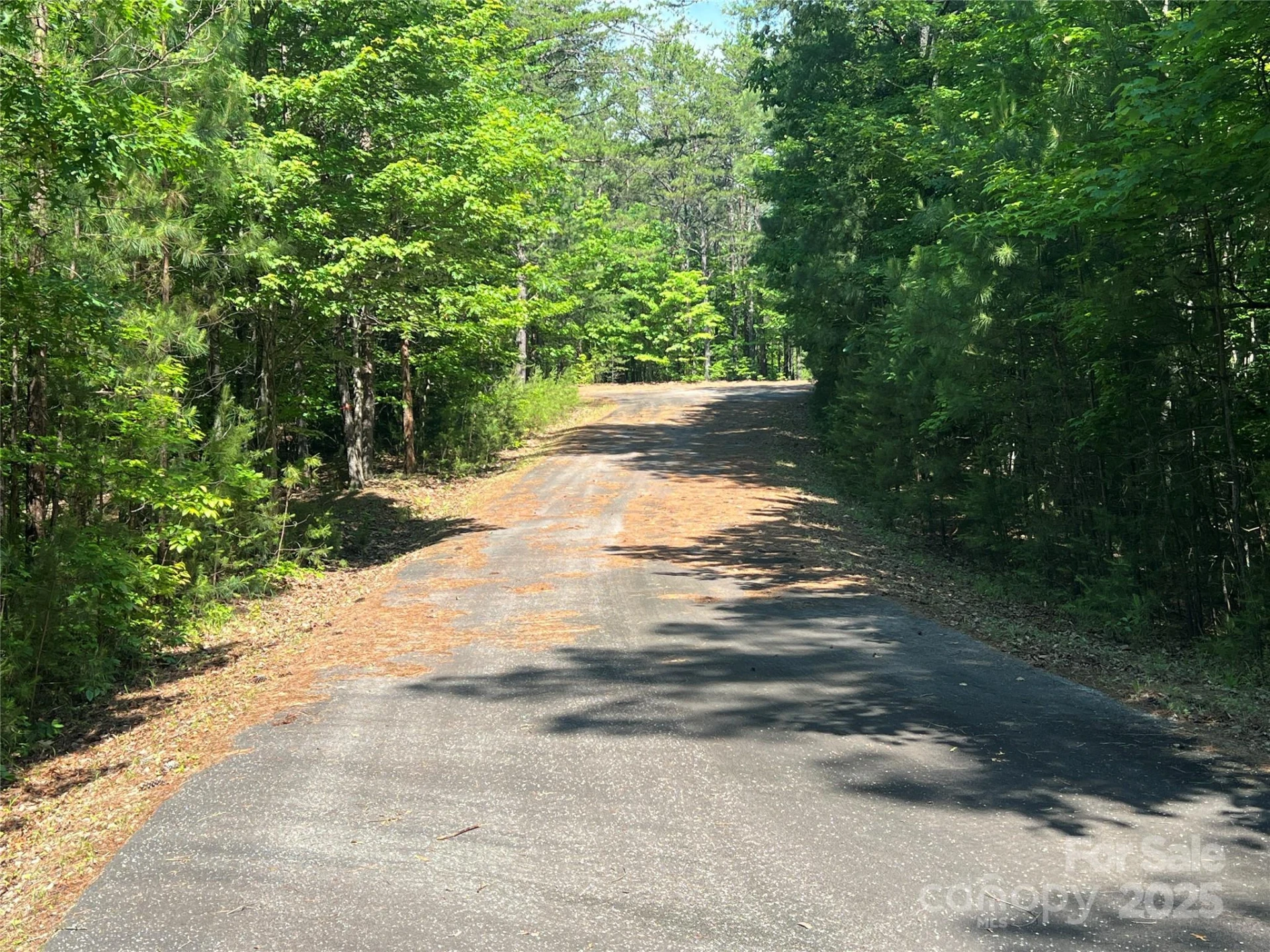 0 South Mountain Drive #16 - Photo 6