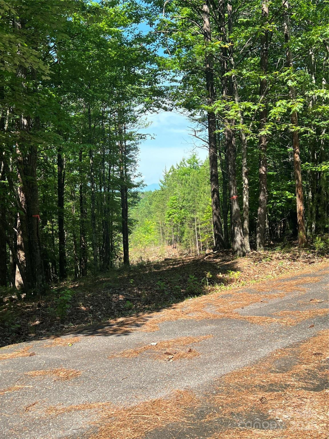 0 South Mountain Drive #16 - Photo 7