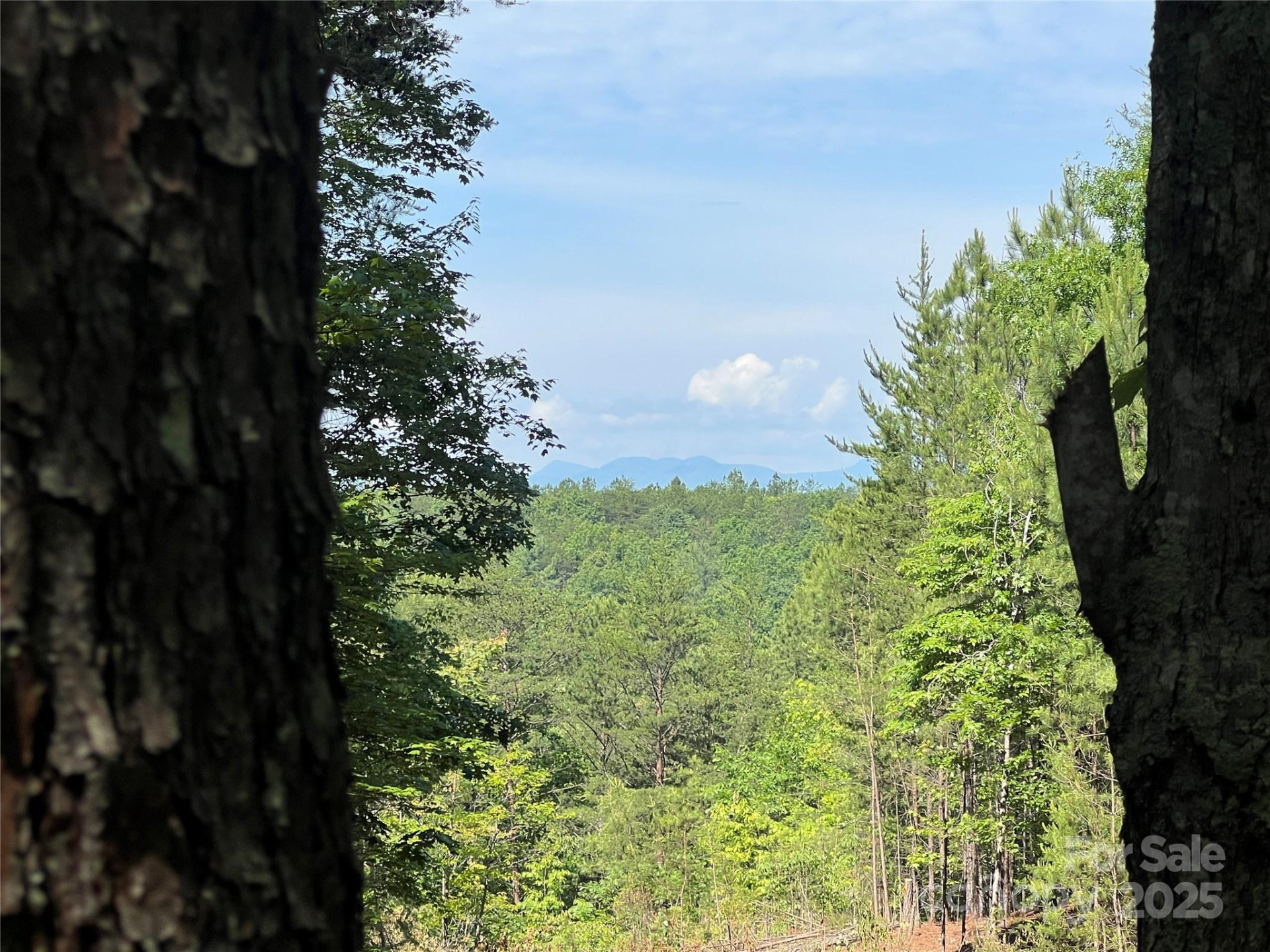 0 South Mountain Drive #16 - Photo 8