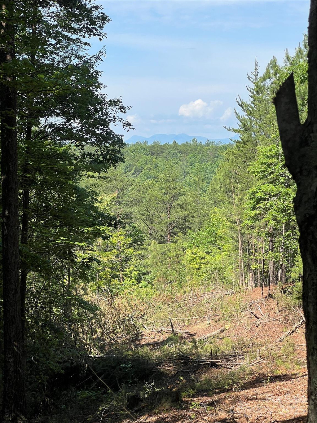 0 South Mountain Drive #16 - Photo 9