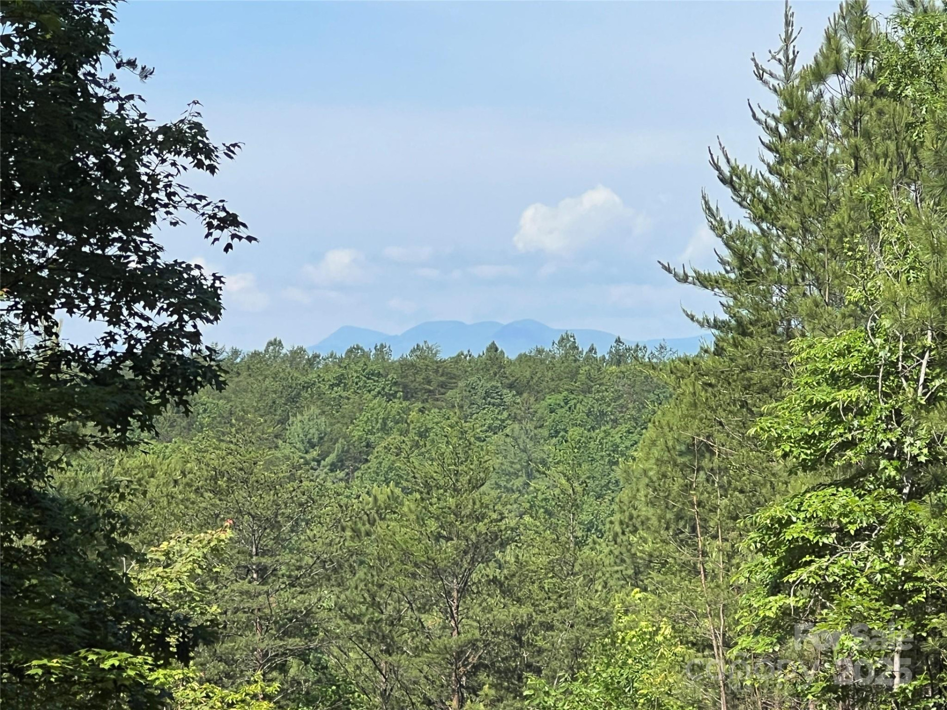 0 South Mountain Drive #16 - Photo 10