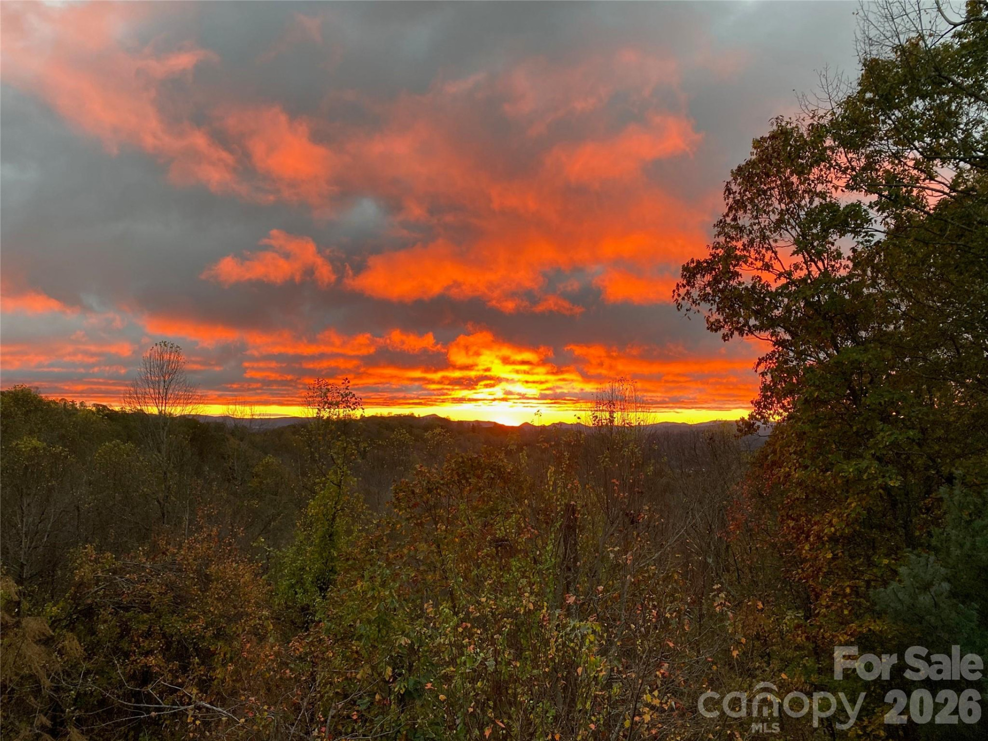 105 Spring Path - Photo 12