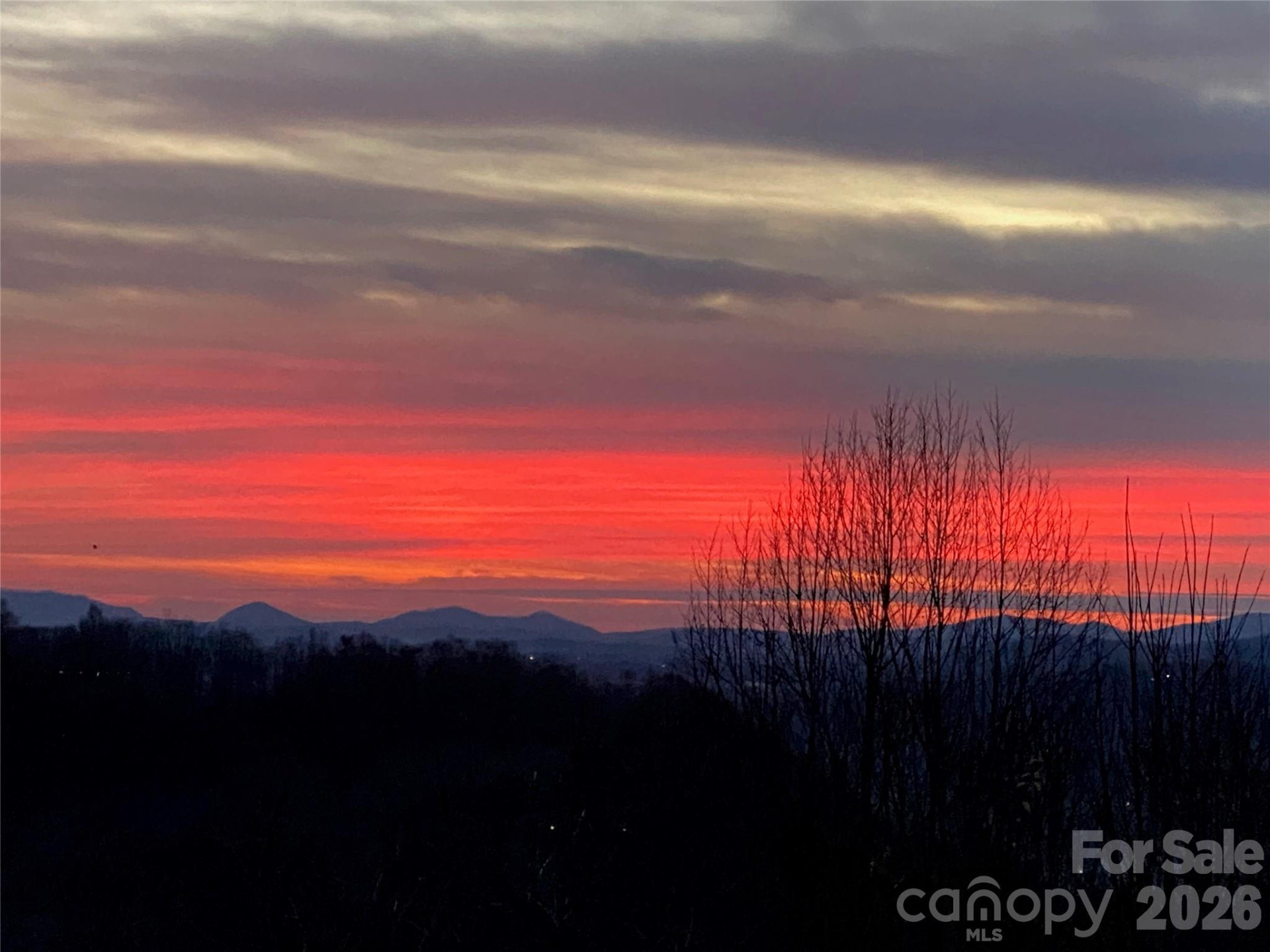 105 Spring Path - Photo 9