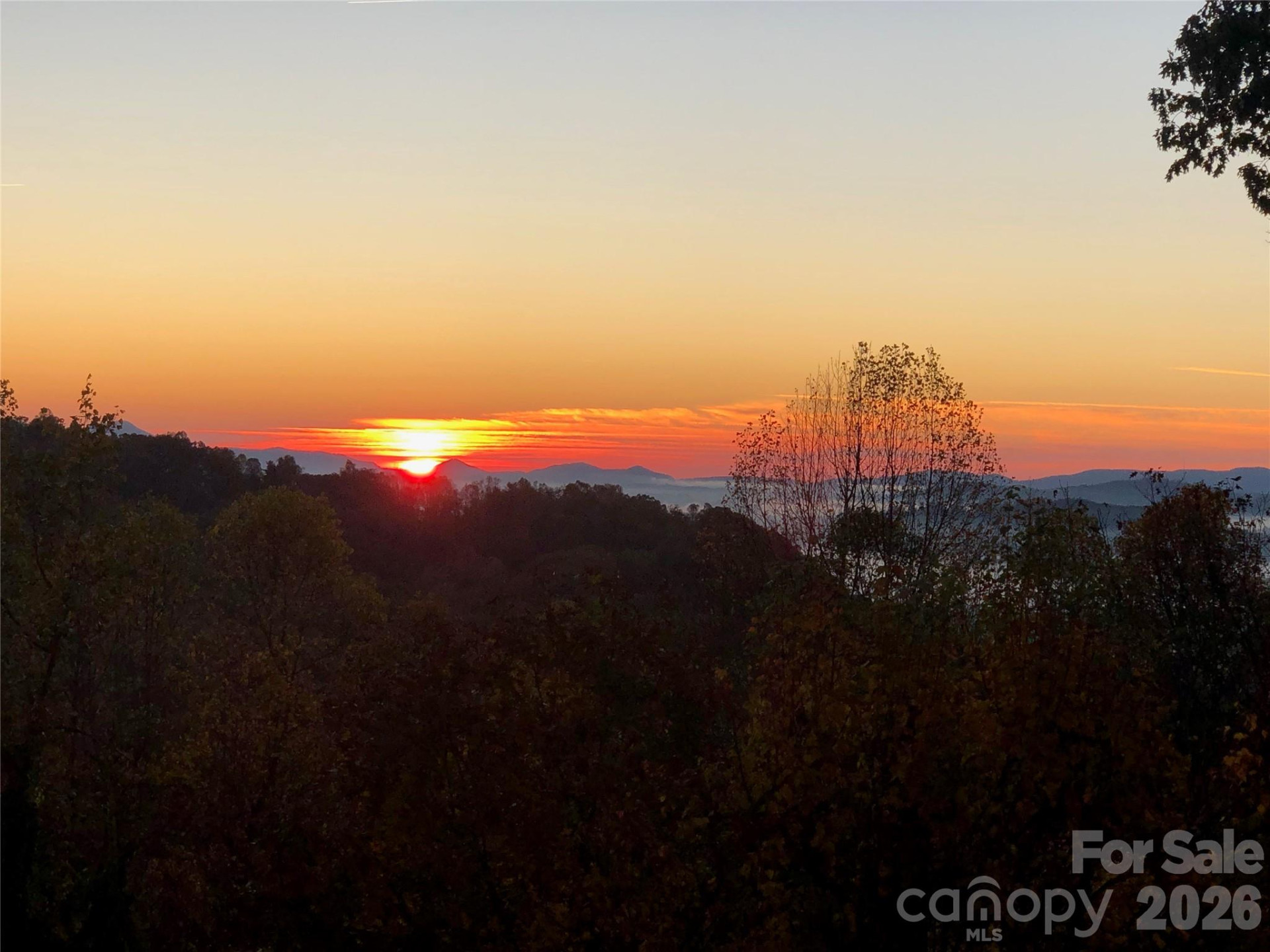 105 Spring Path - Photo 10