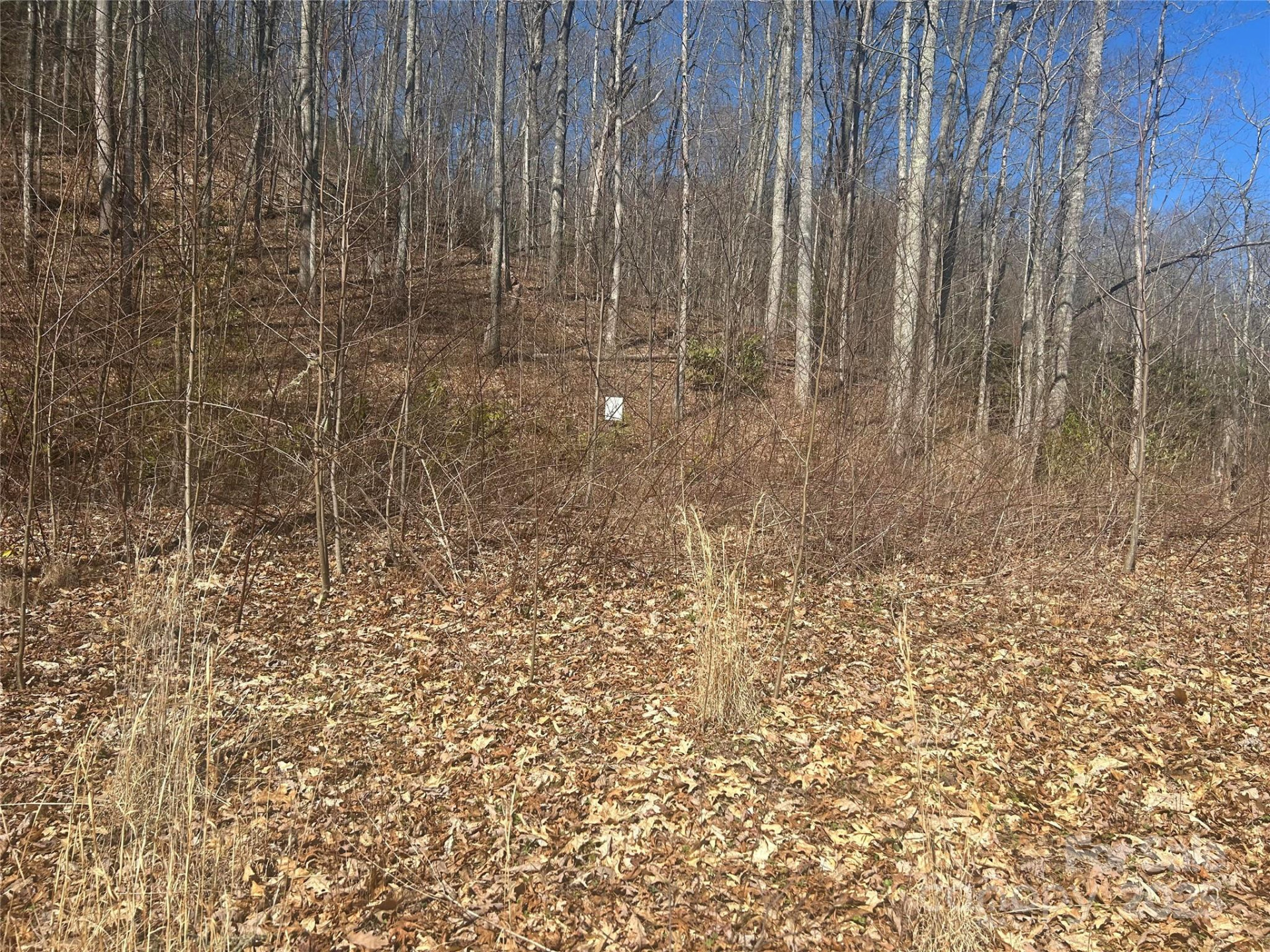 0 Towaliga Drive #94 - Photo 2