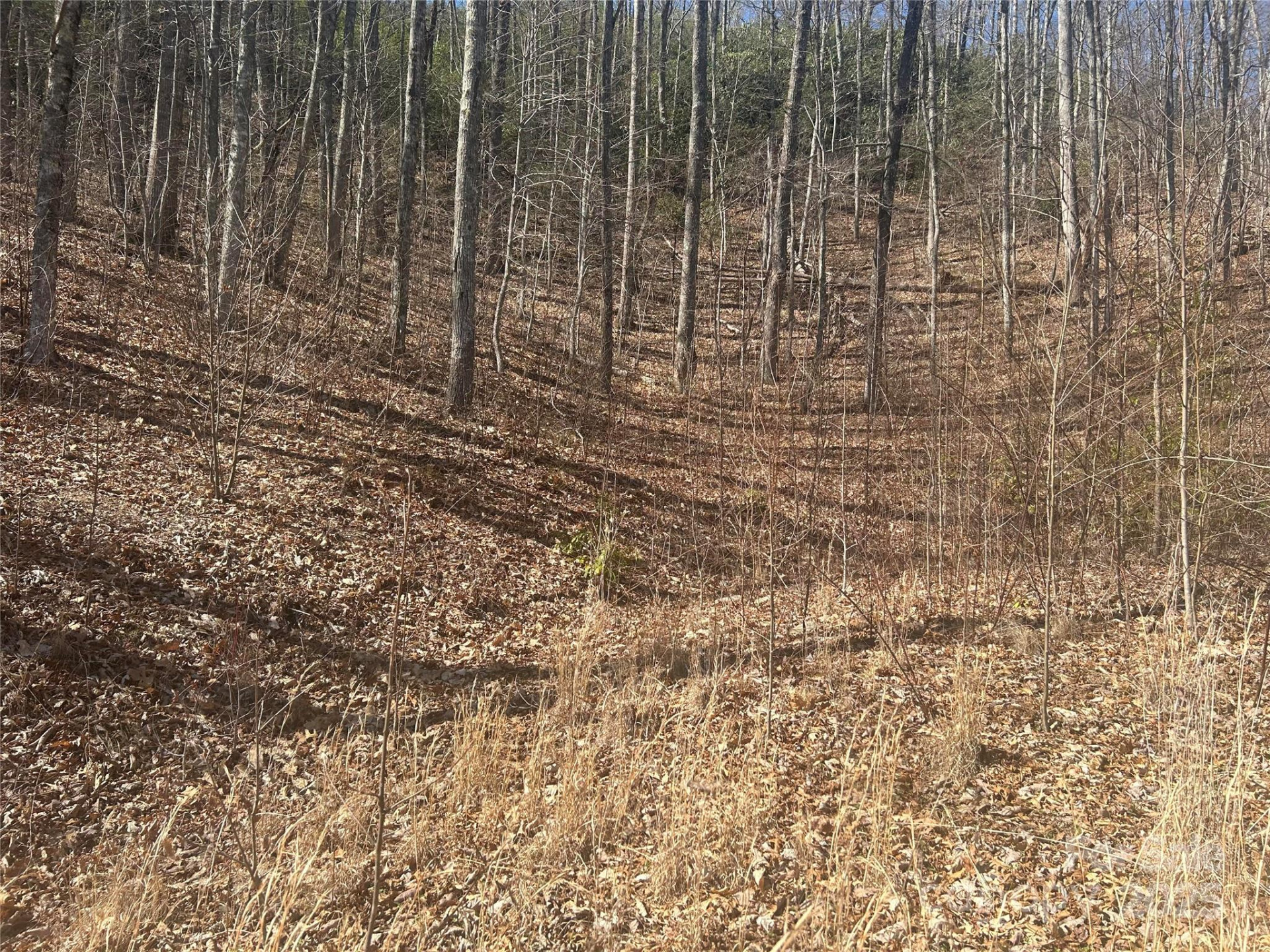 0 Towaliga Drive #94 - Photo 3