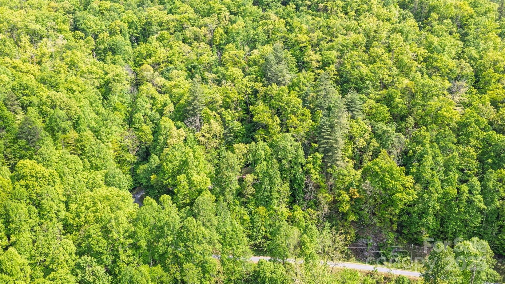 242 Eagles Roost Road - Photo 30