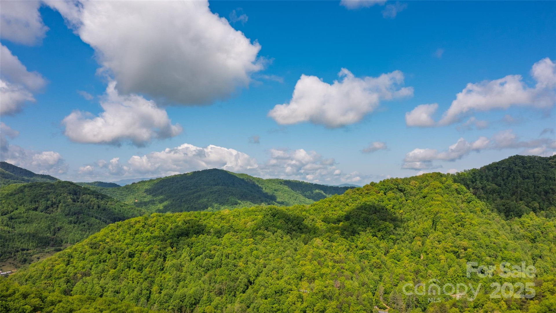 242 Eagles Roost Road - Photo 32