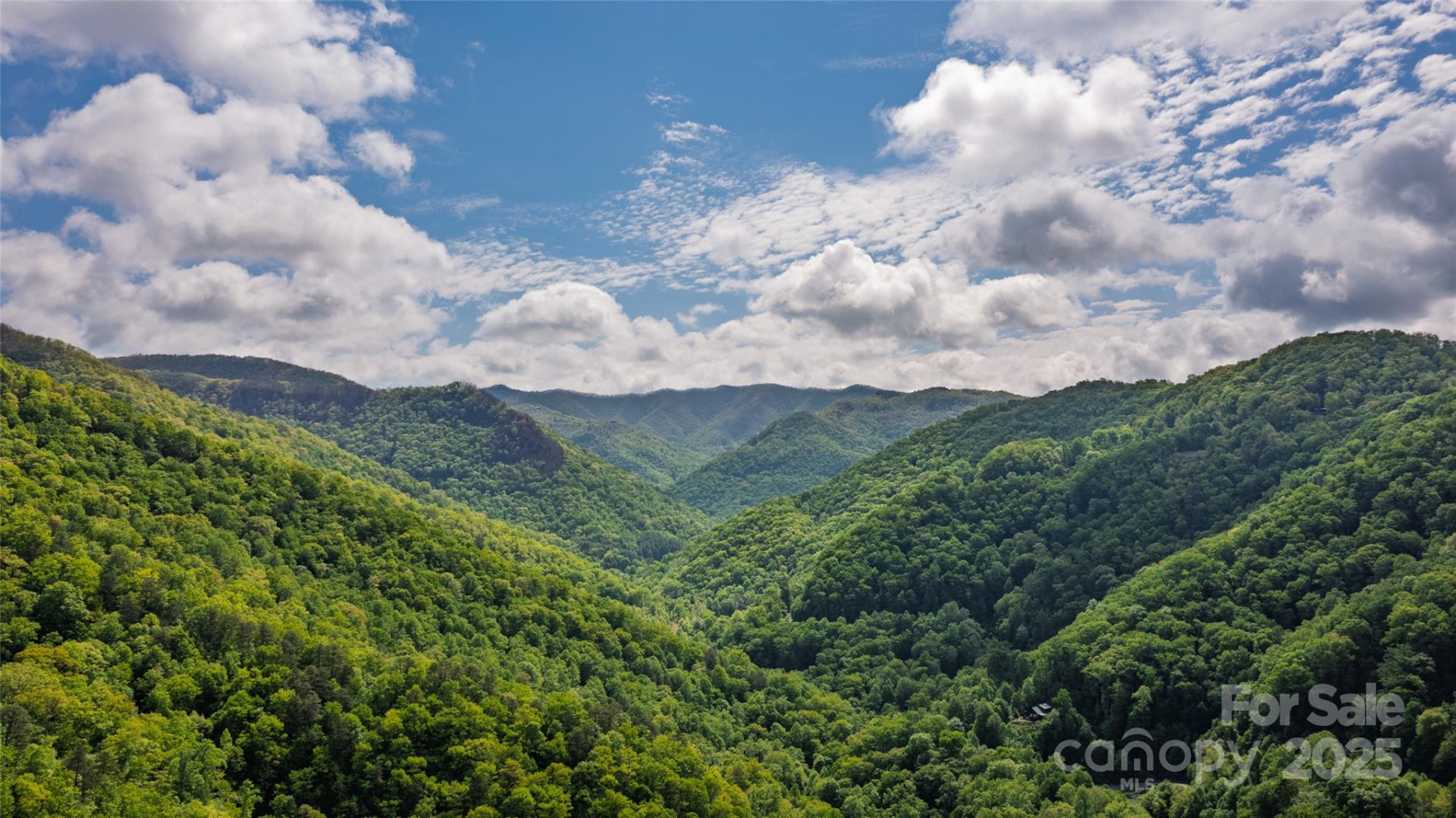 242 Eagles Roost Road - Photo 33