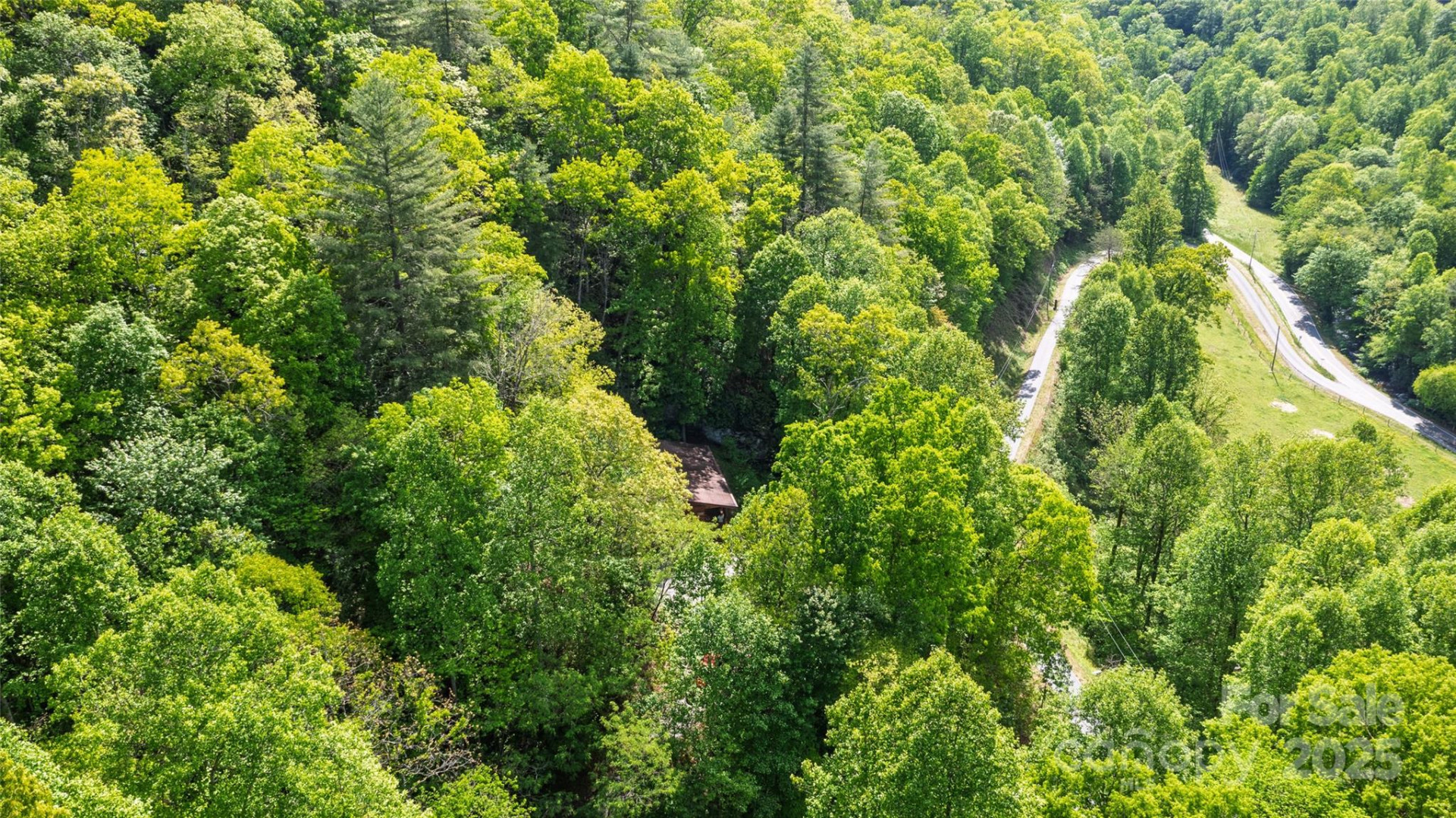 242 Eagles Roost Road - Photo 8
