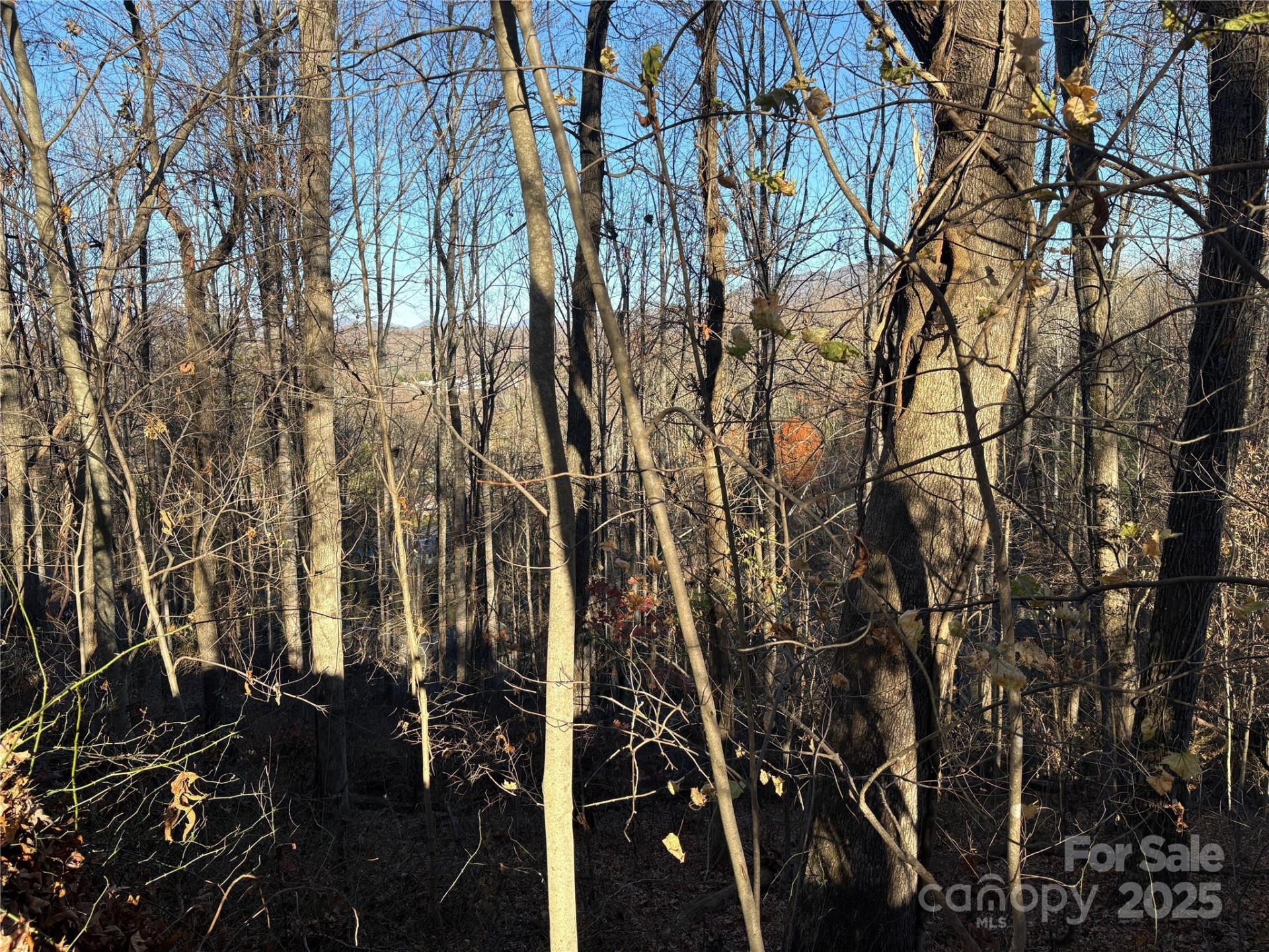 TBD Adams Street #1 - Photo 2