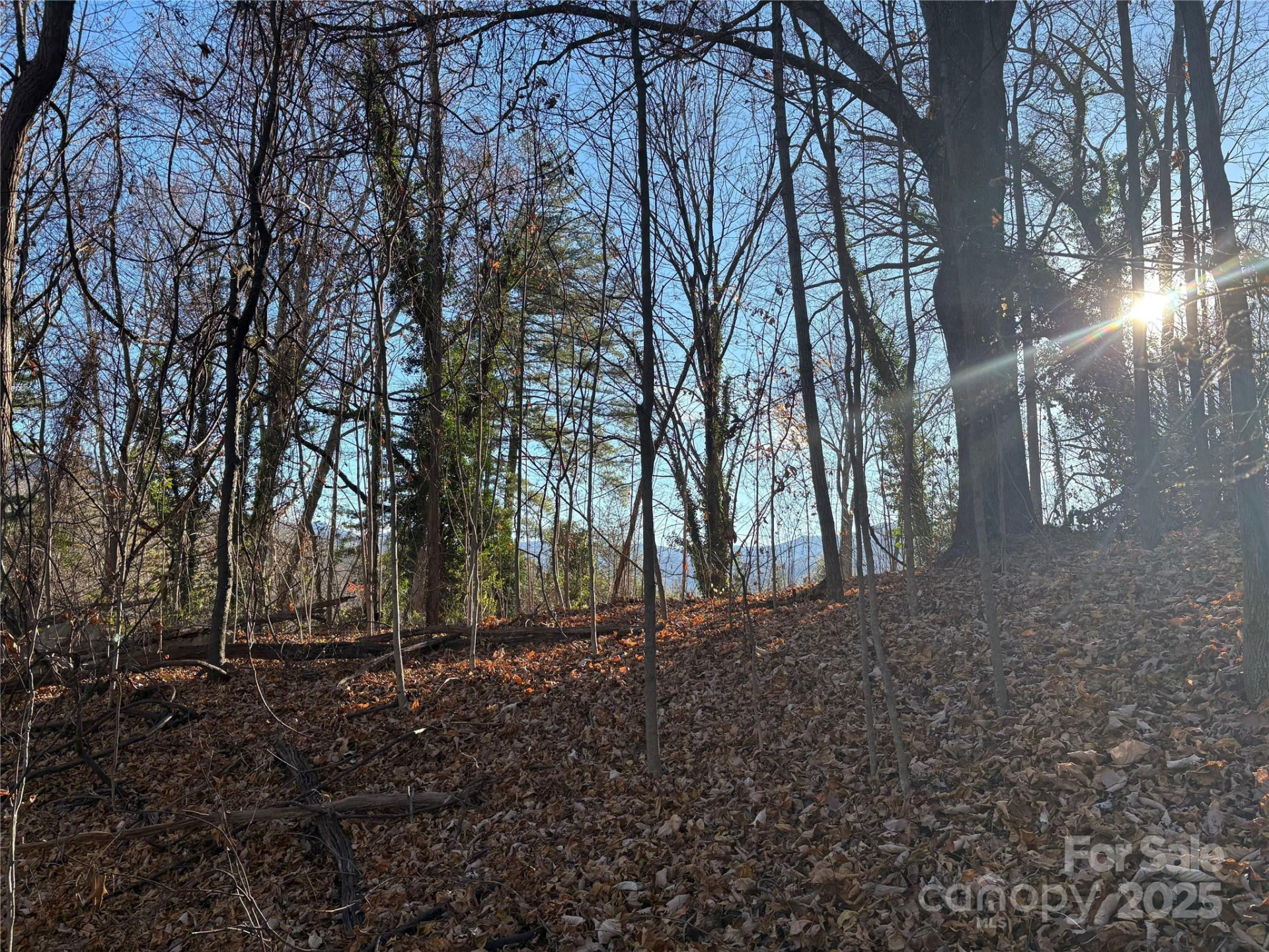 TBD Adams Street #1 - Photo 11