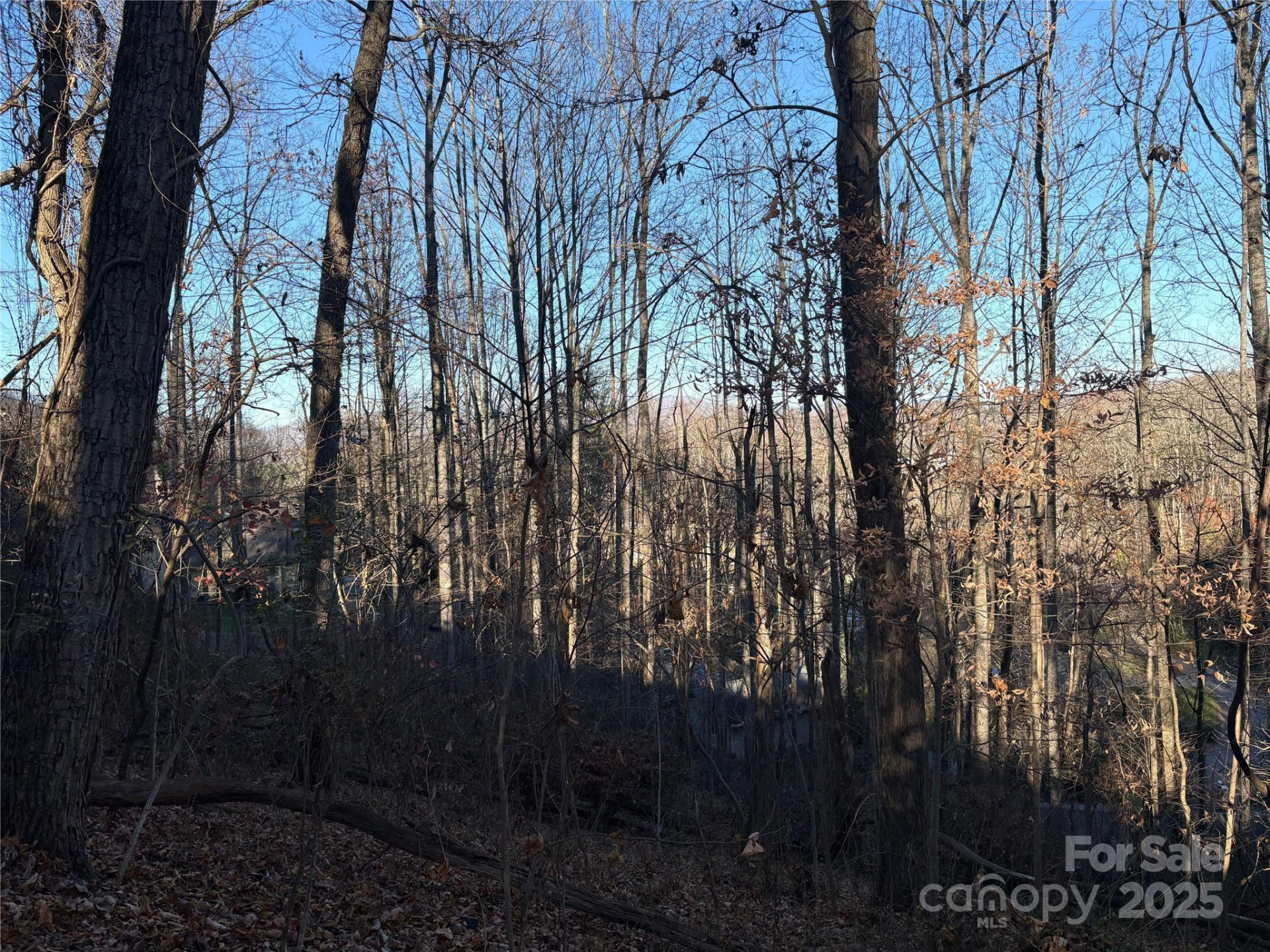 TBD Adams Street #1 - Photo 12