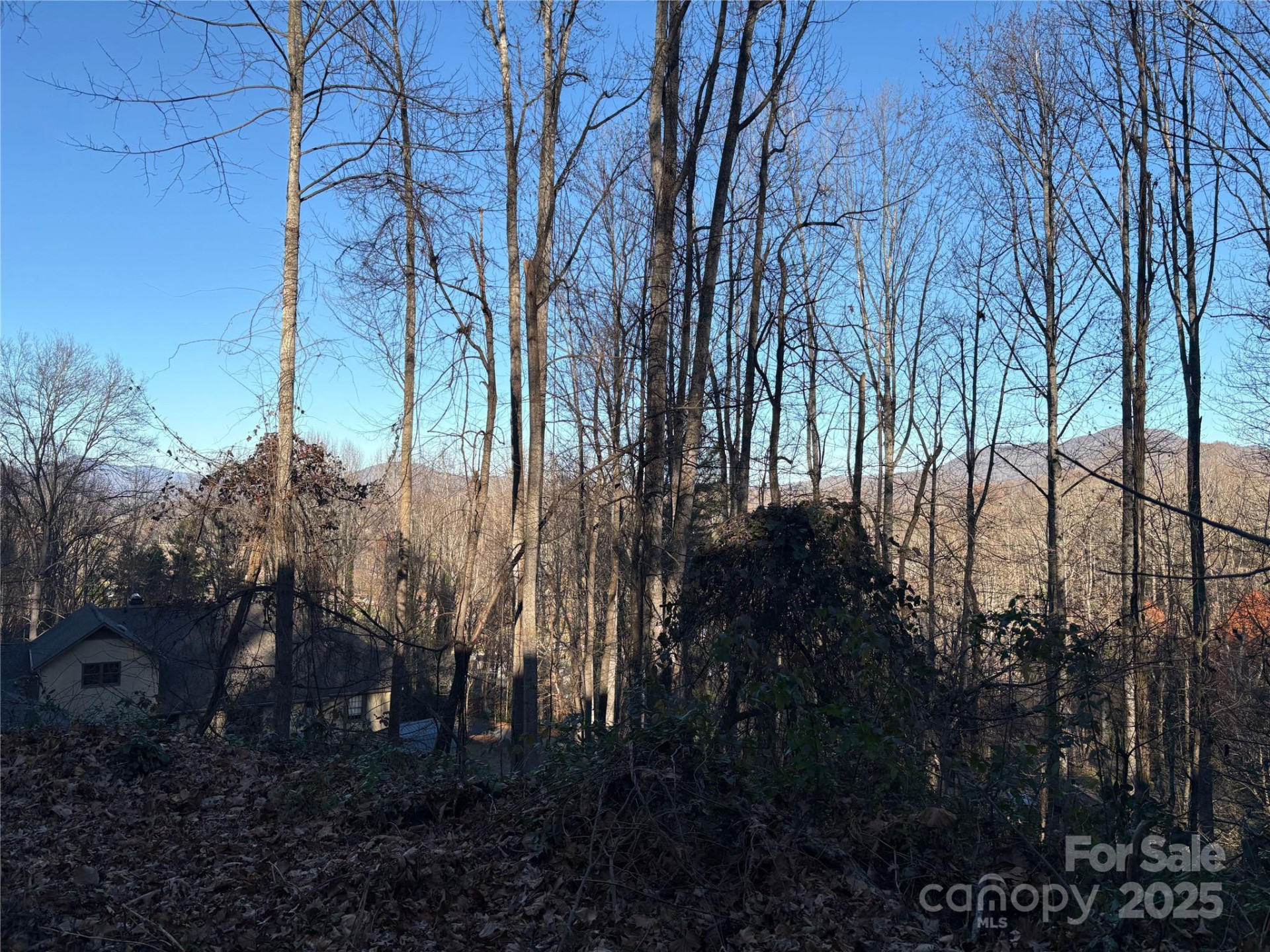 TBD Adams Street #1 - Photo 14