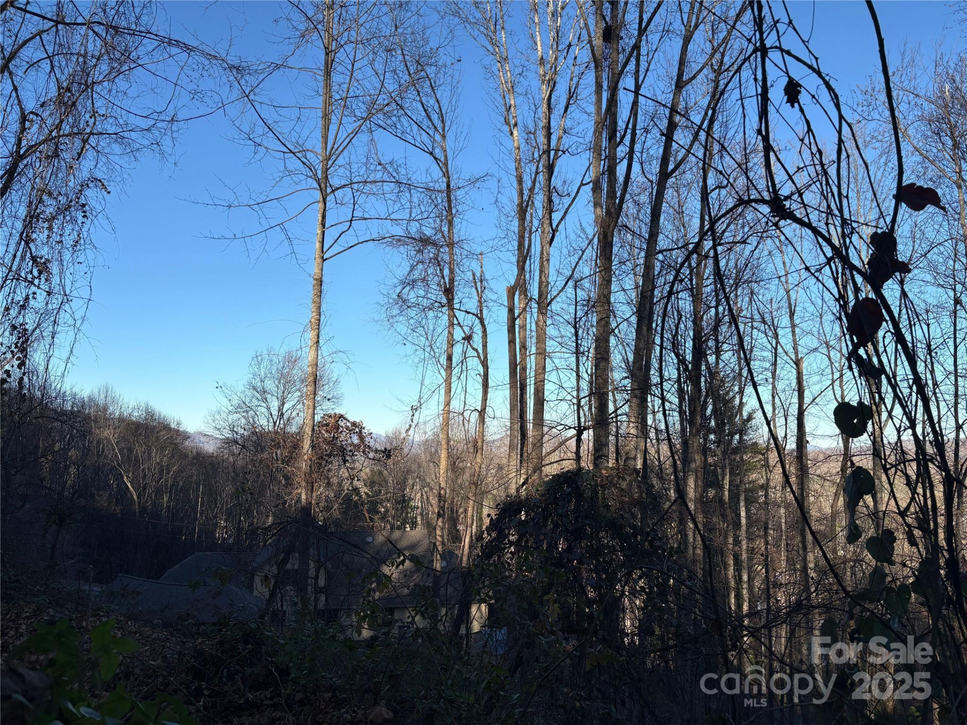 TBD Adams Street #1 - Photo 15