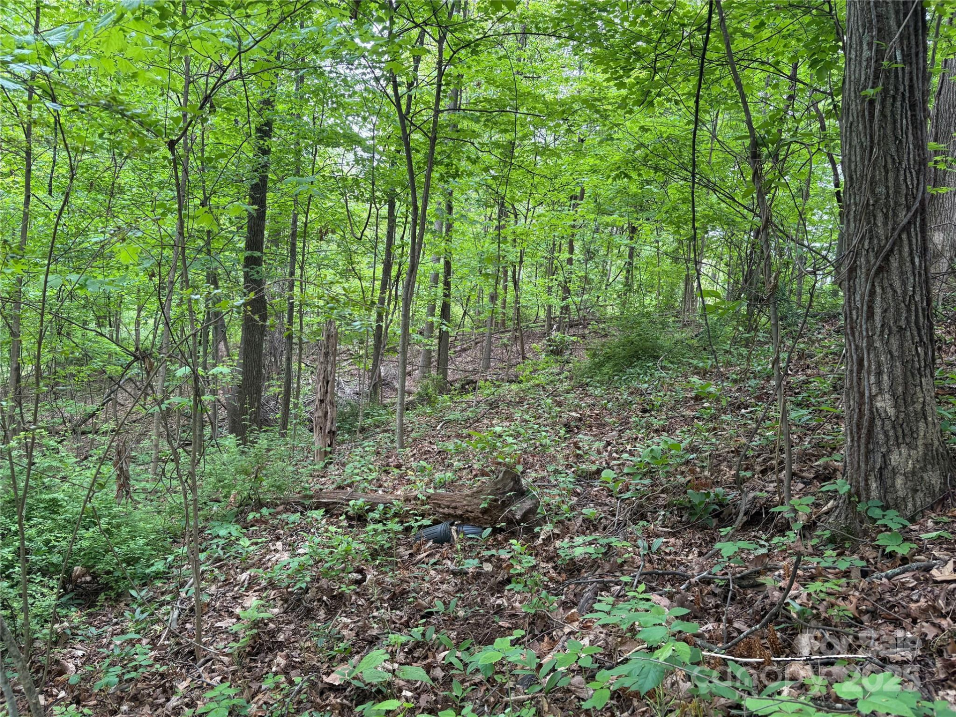 TBD Adams Street #1 - Photo 16