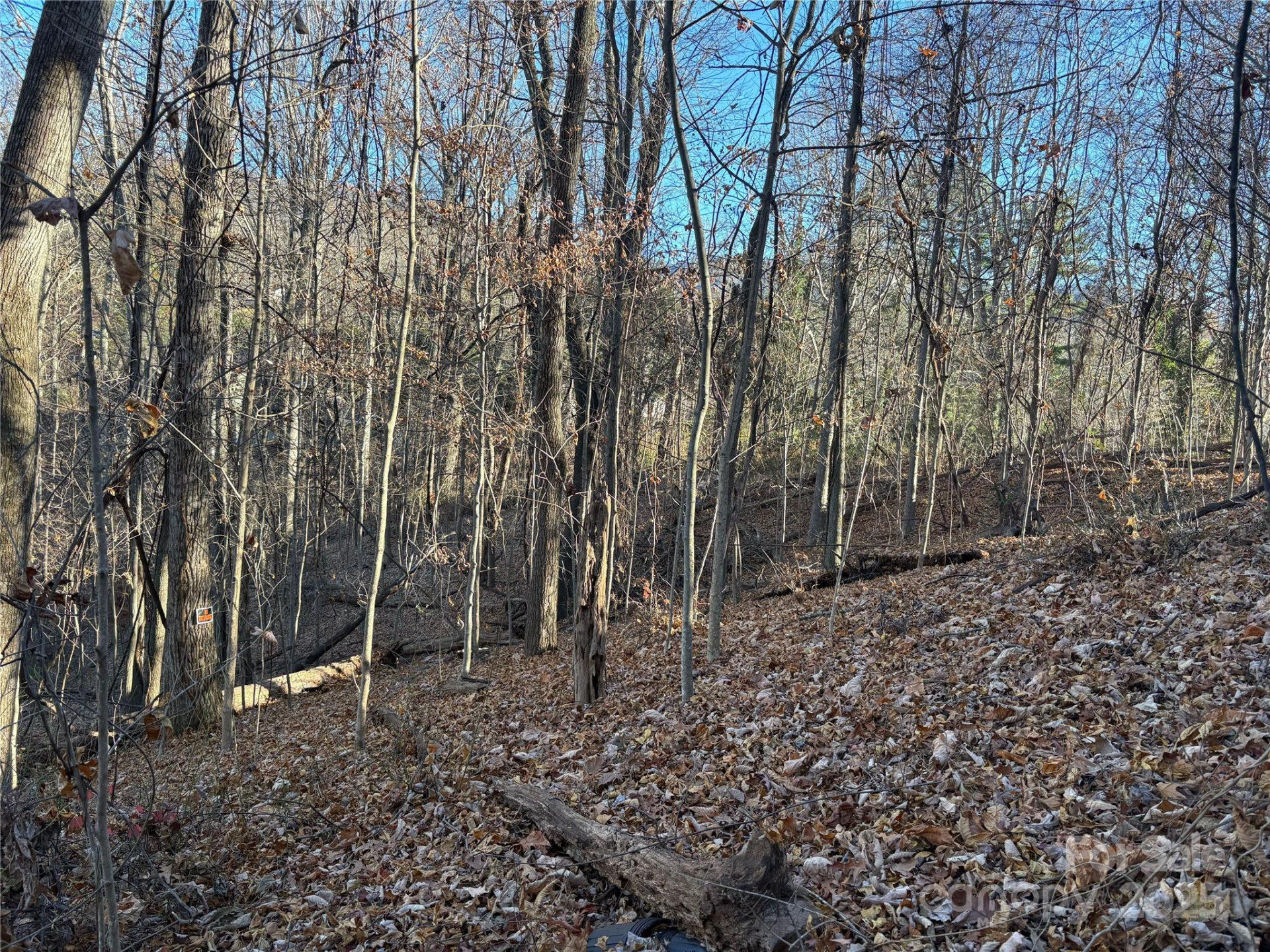 TBD Adams Street #1 - Photo 3