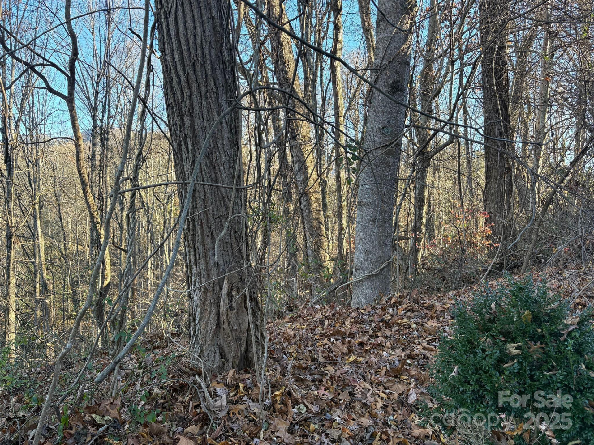 TBD Adams Street #1 - Photo 4