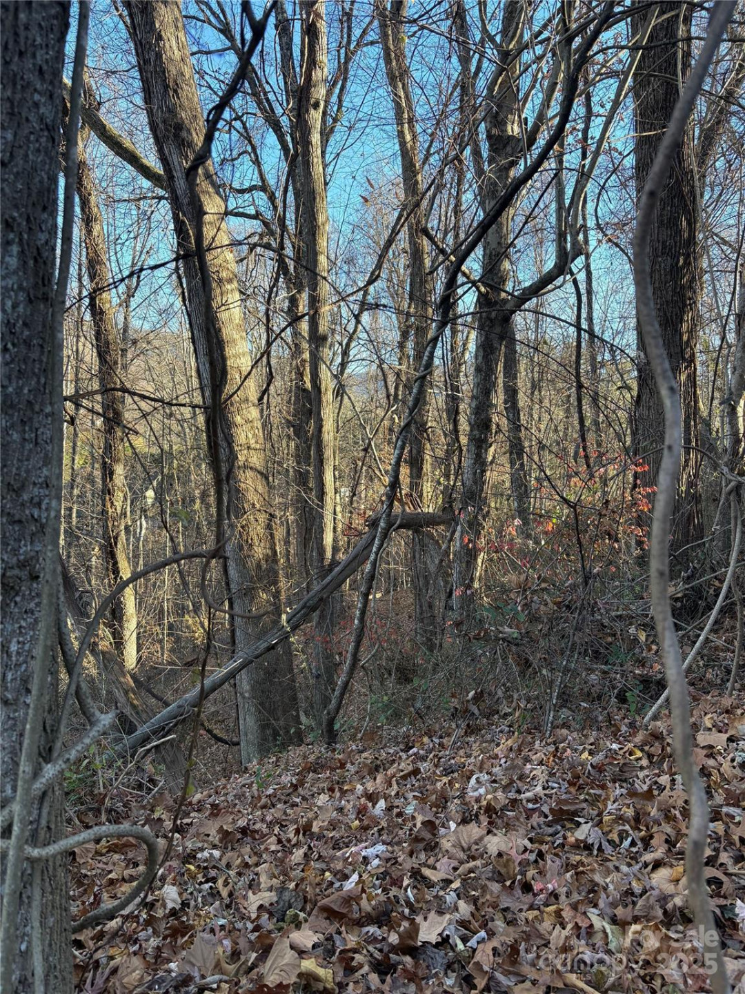 TBD Adams Street #1 - Photo 5