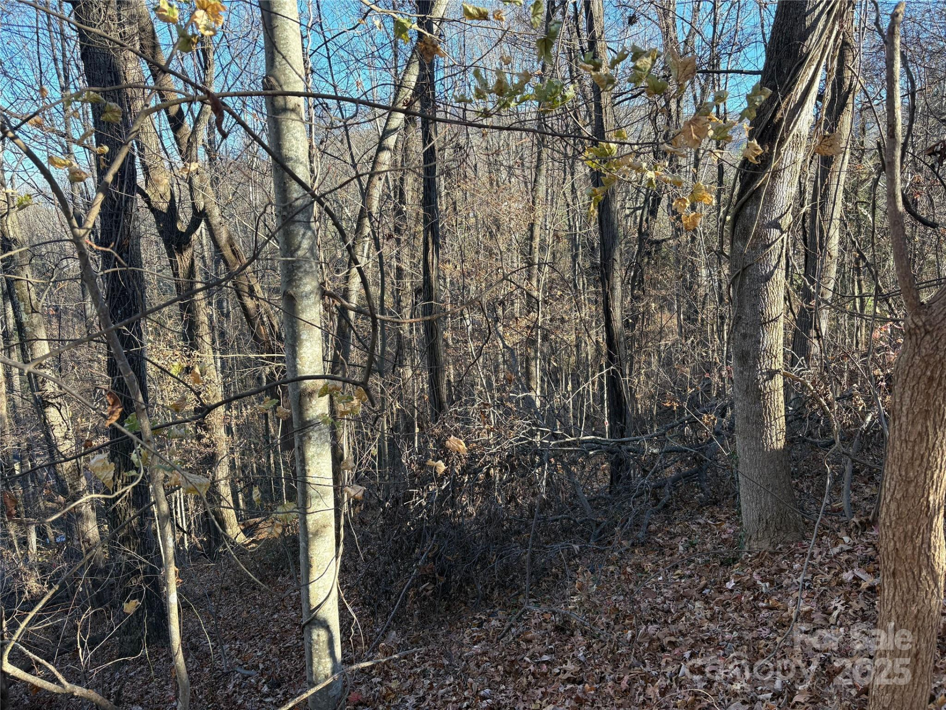 TBD Adams Street #1 - Photo 6