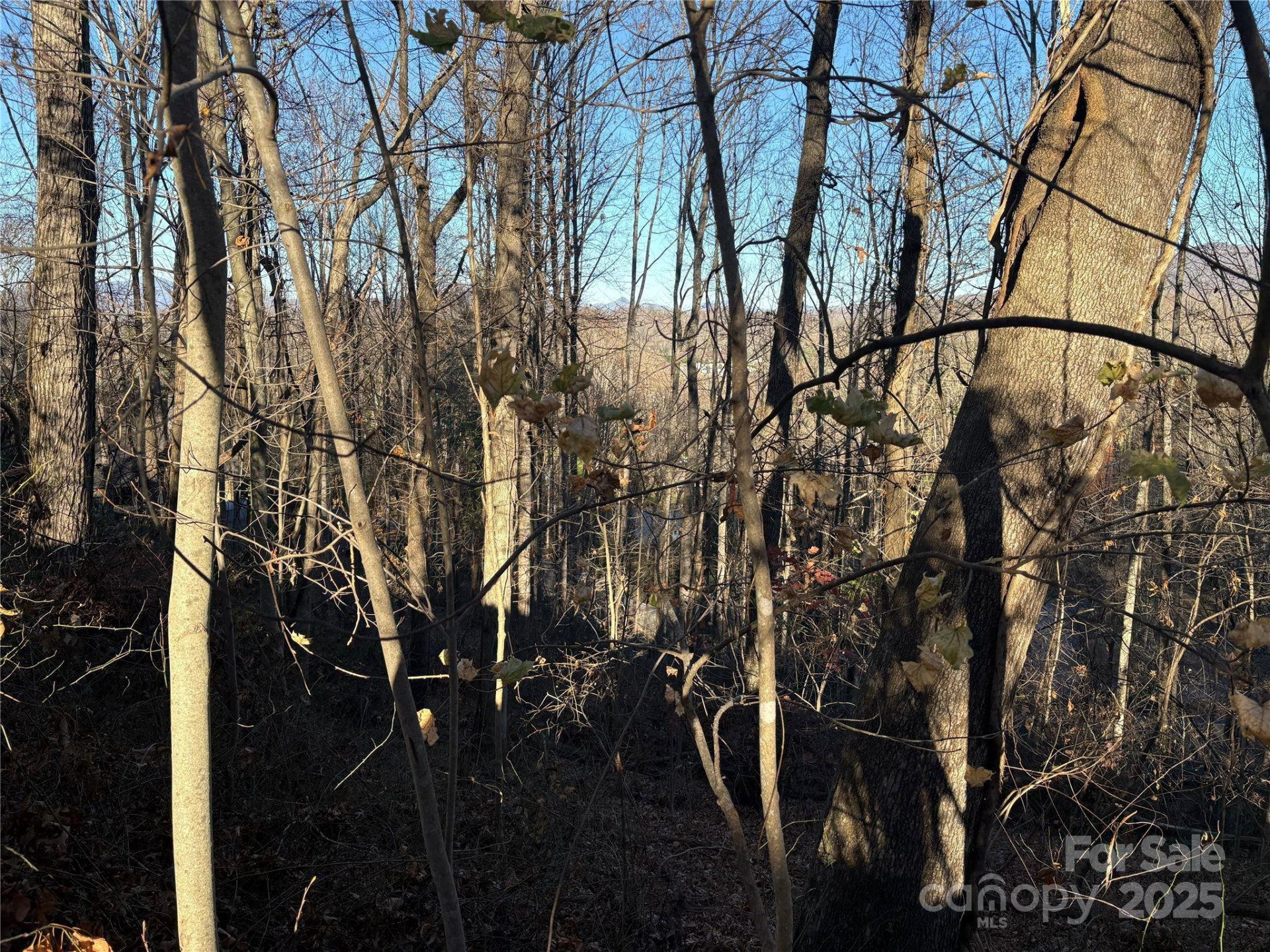 TBD Adams Street #1 - Photo 7