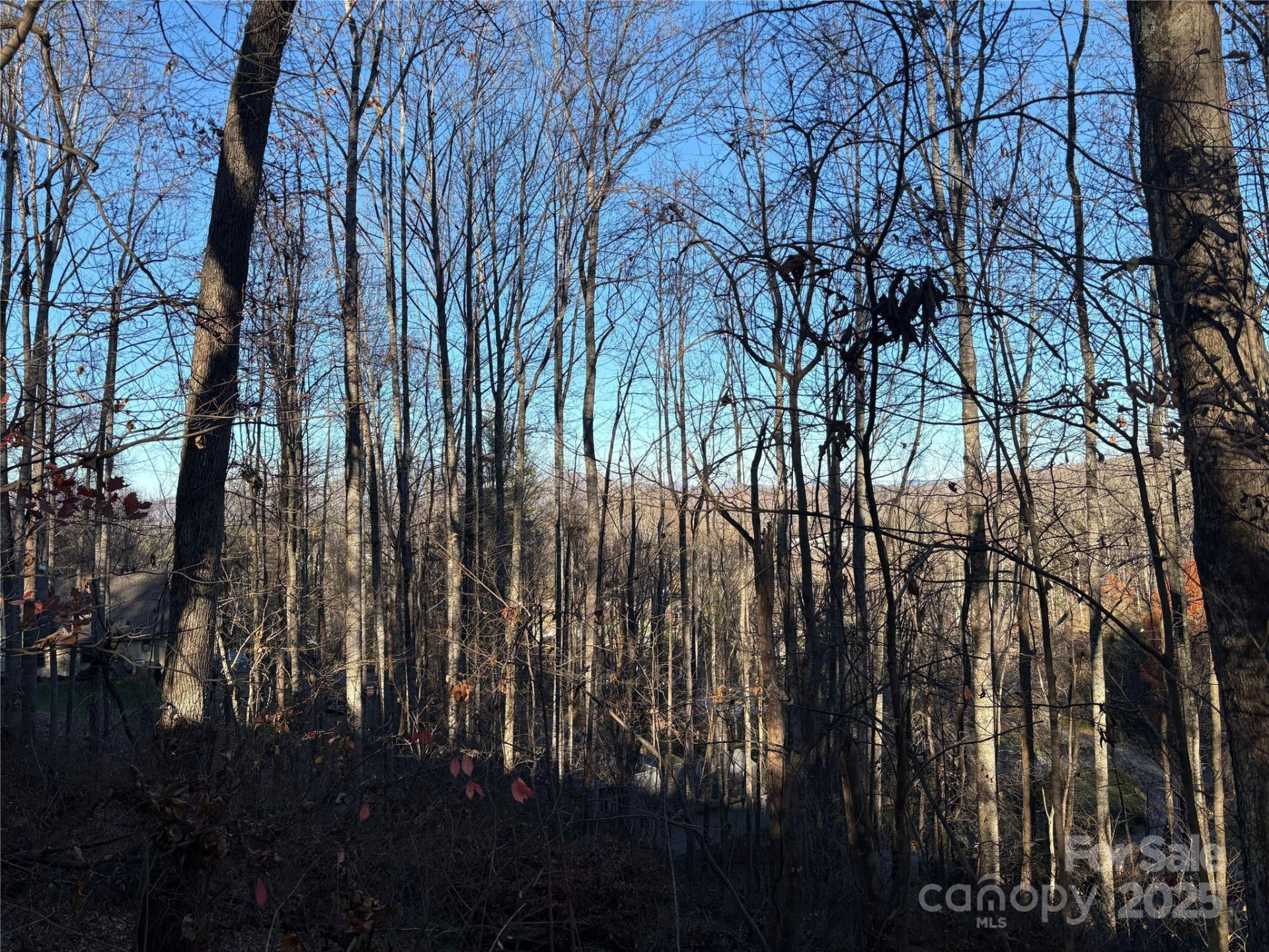 TBD Adams Street #1 - Photo 8