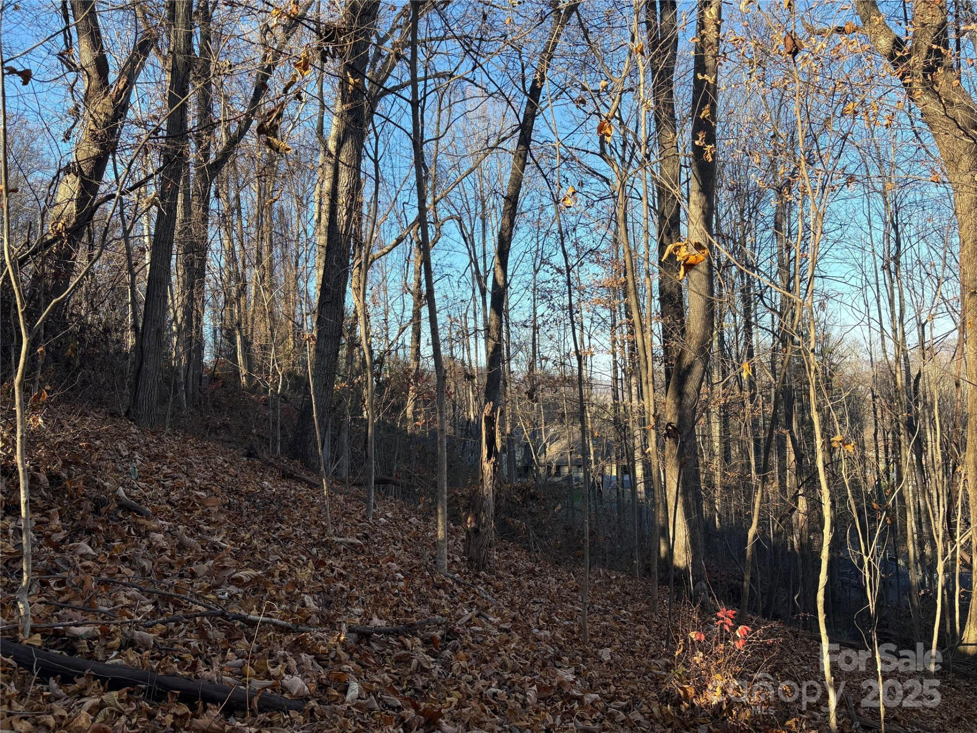 TBD Adams Street #1 - Photo 10