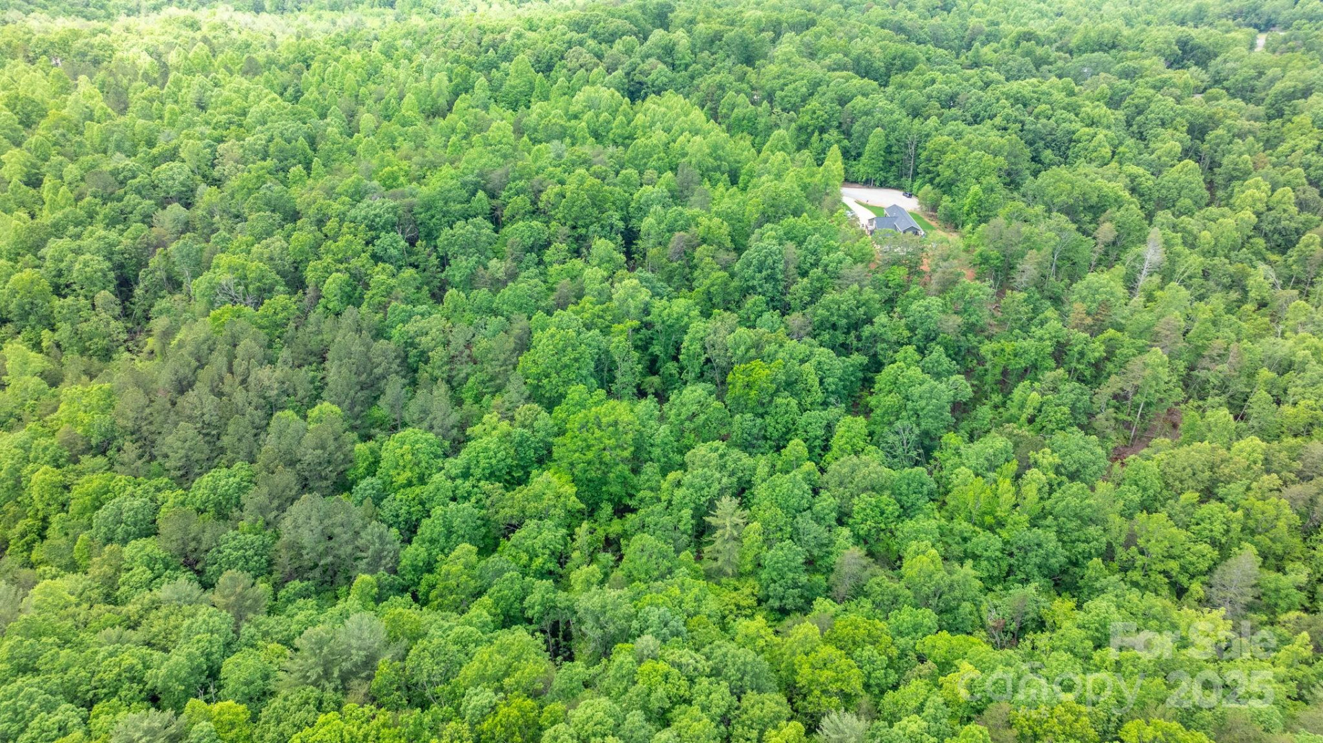 TBD Darrow Drive #95 - Photo 11