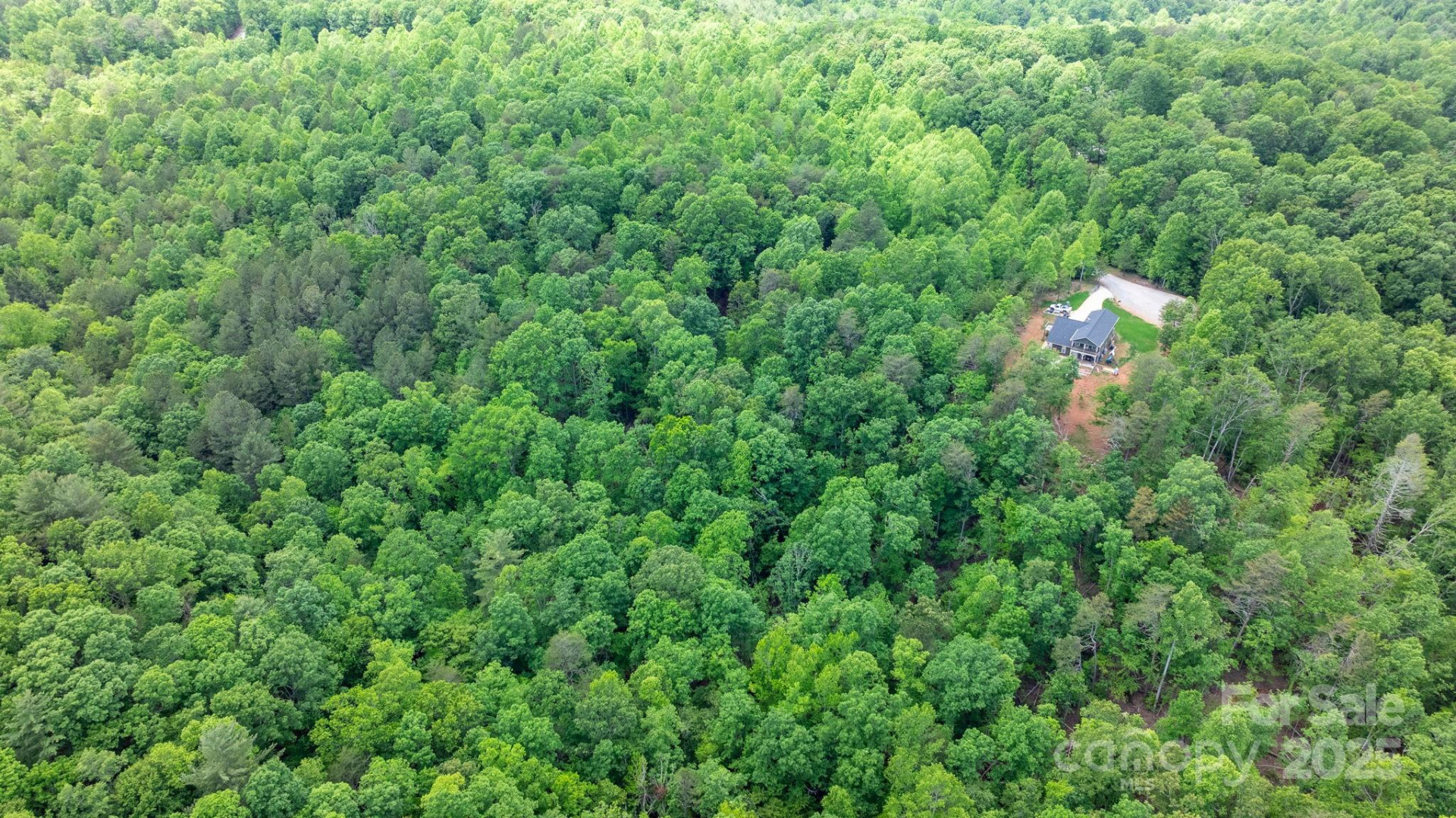 TBD Darrow Drive #95 - Photo 12