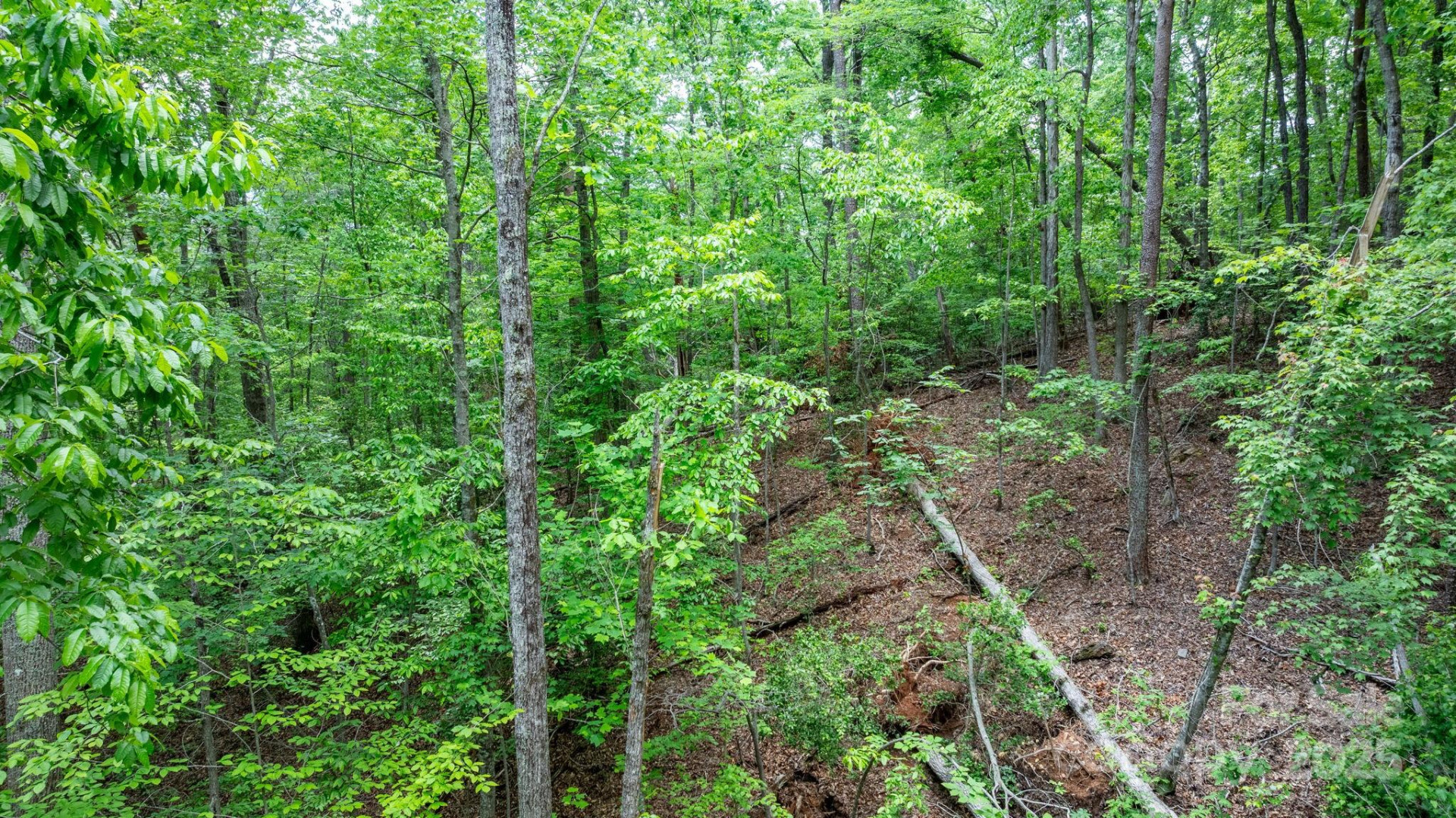 TBD Darrow Drive #95 - Photo 16