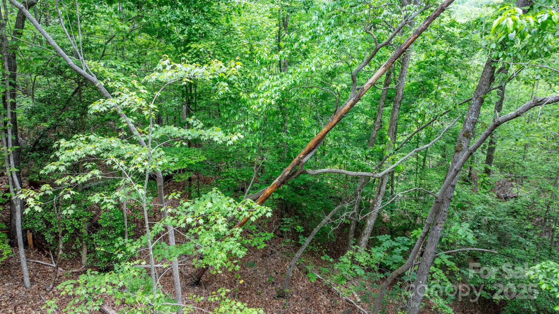 TBD Darrow Drive #95 - Photo 17