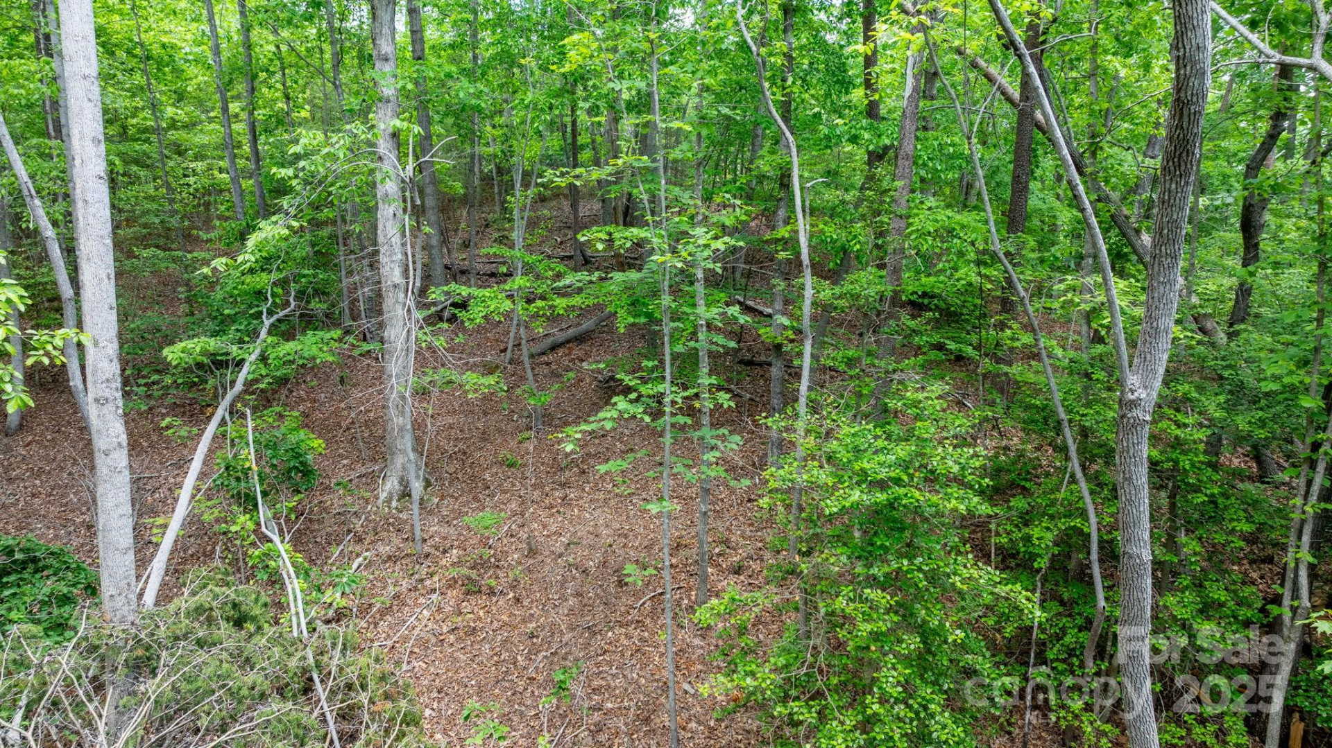 TBD Darrow Drive #95 - Photo 18