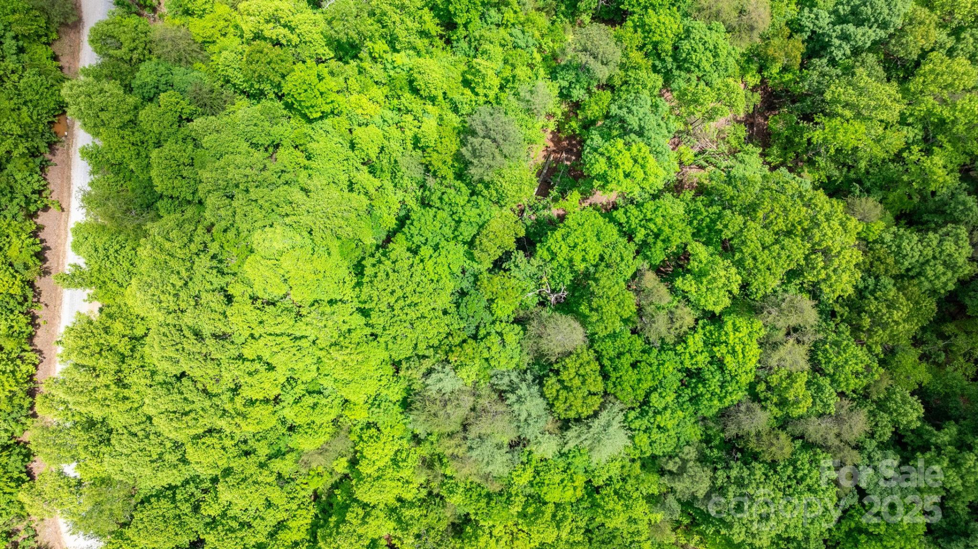 TBD Darrow Drive #95 - Photo 19