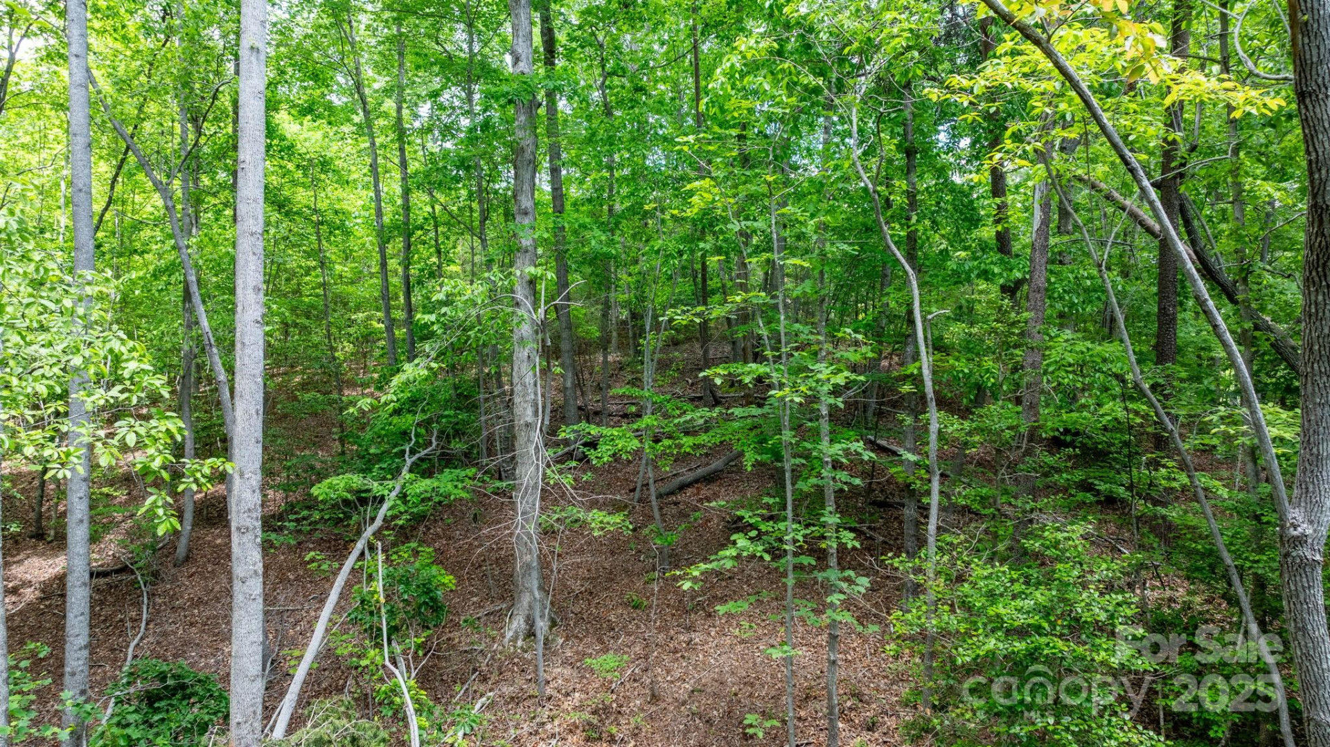 TBD Darrow Drive #95 - Photo 20