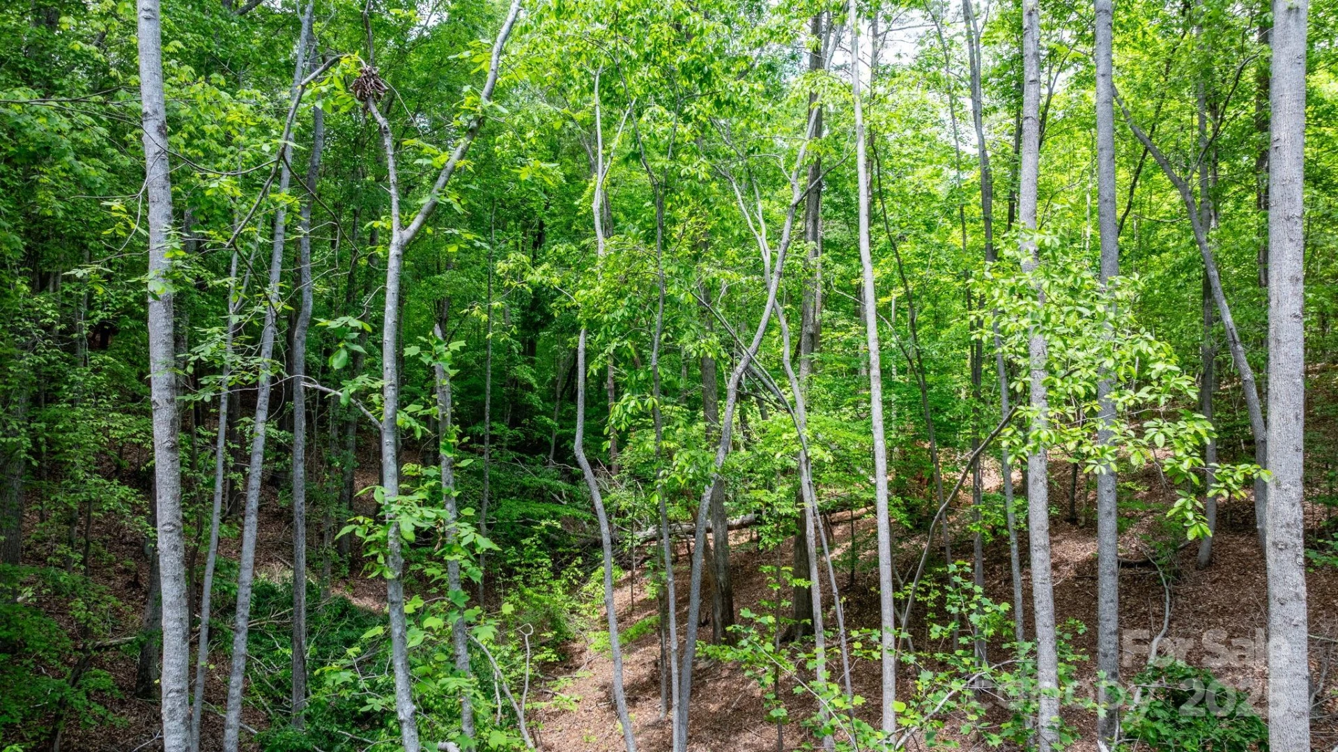 TBD Darrow Drive #95 - Photo 21