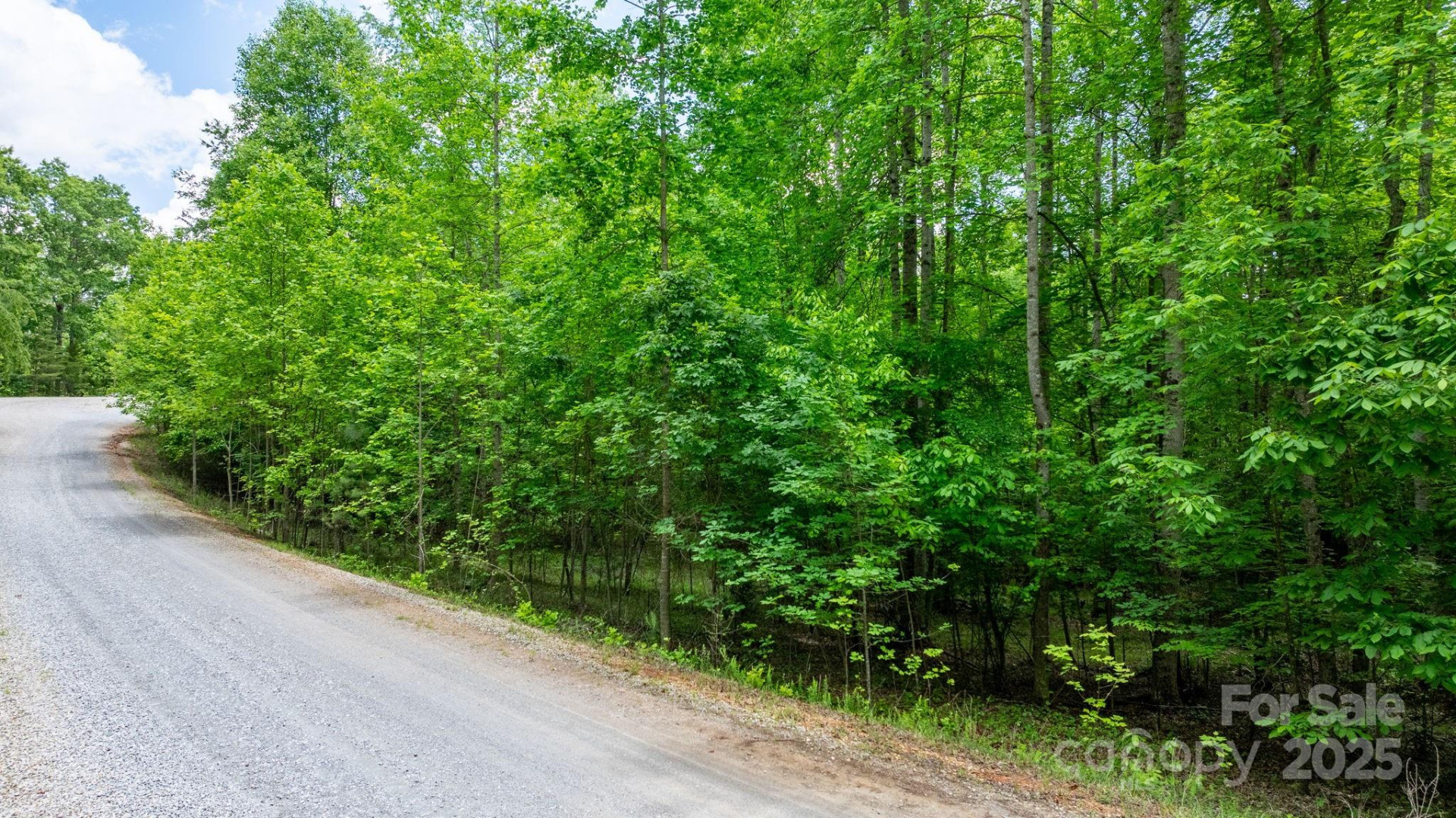 TBD Darrow Drive #95 - Photo 22